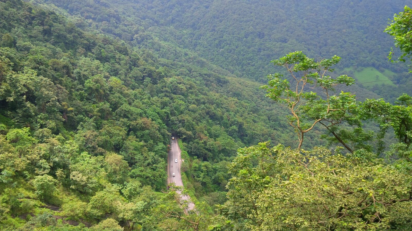 BlackBerry Z10 sample photo. Wayanad, green, kerala photography