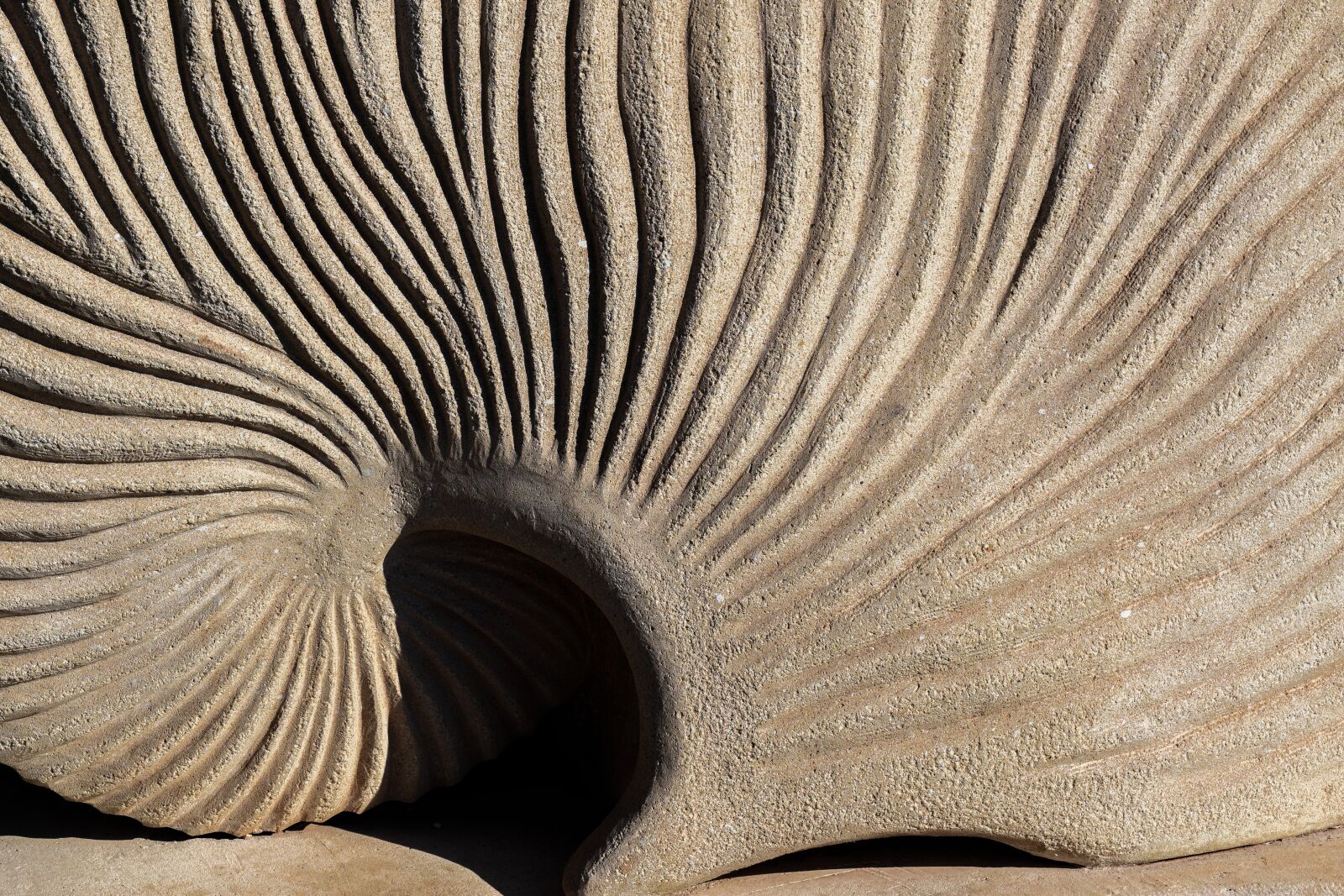 Nikon D3300 sample photo. Sculpture, art, argonaut photography