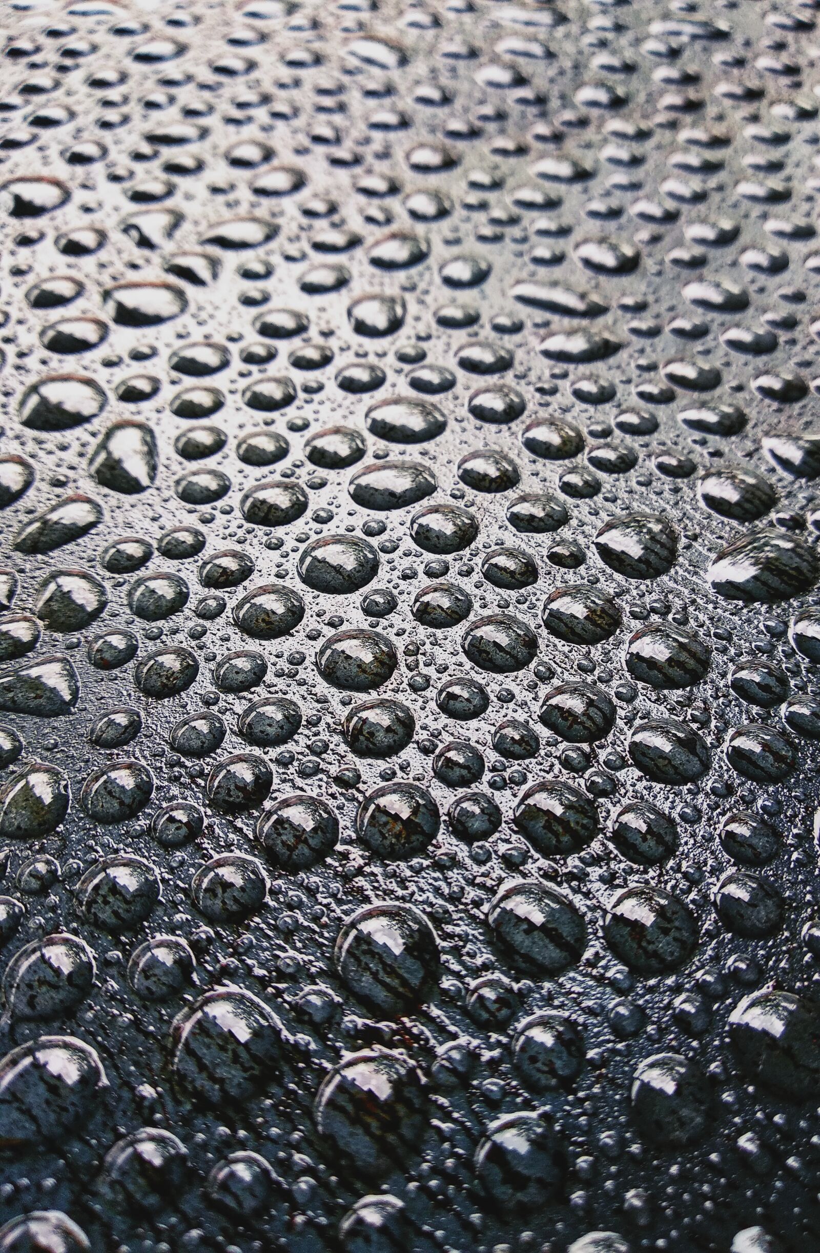 Xiaomi Mi A1 sample photo. Rain drops, water drops photography