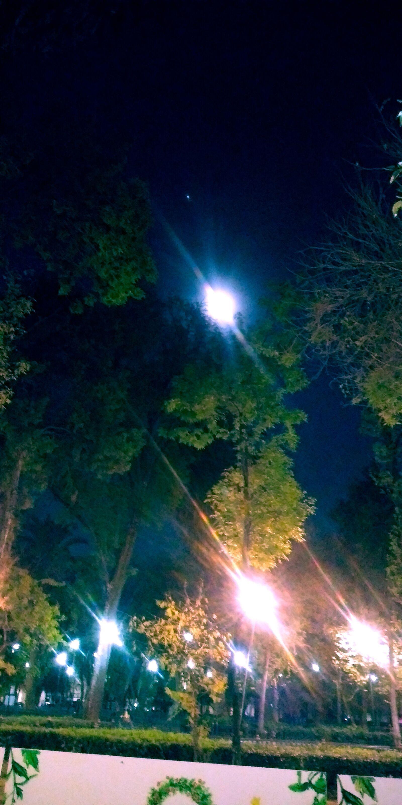 LG Q6 sample photo. Noche, luna, parque photography