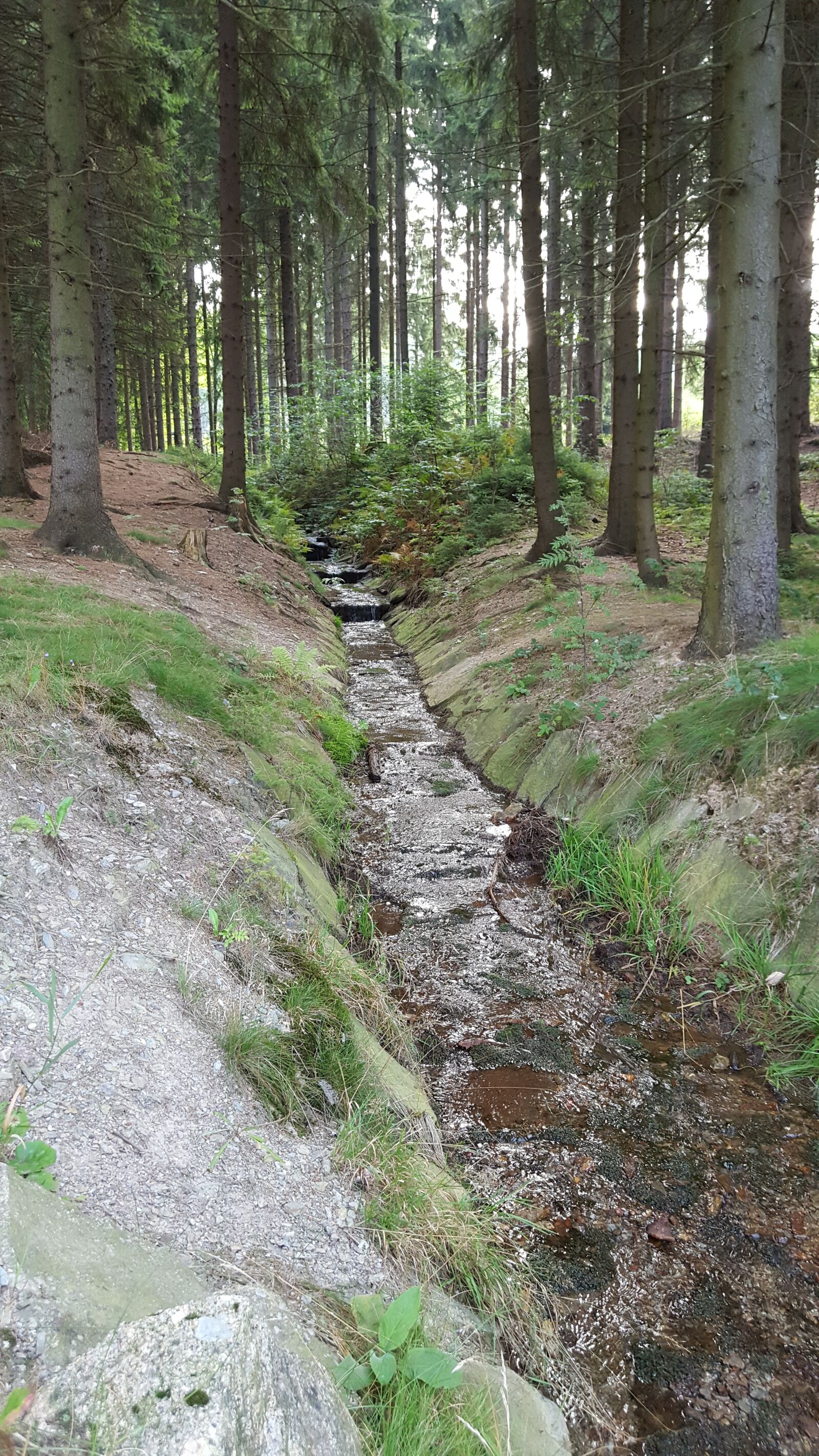 Samsung Galaxy S6 sample photo. Torrent, forest, inlet photography