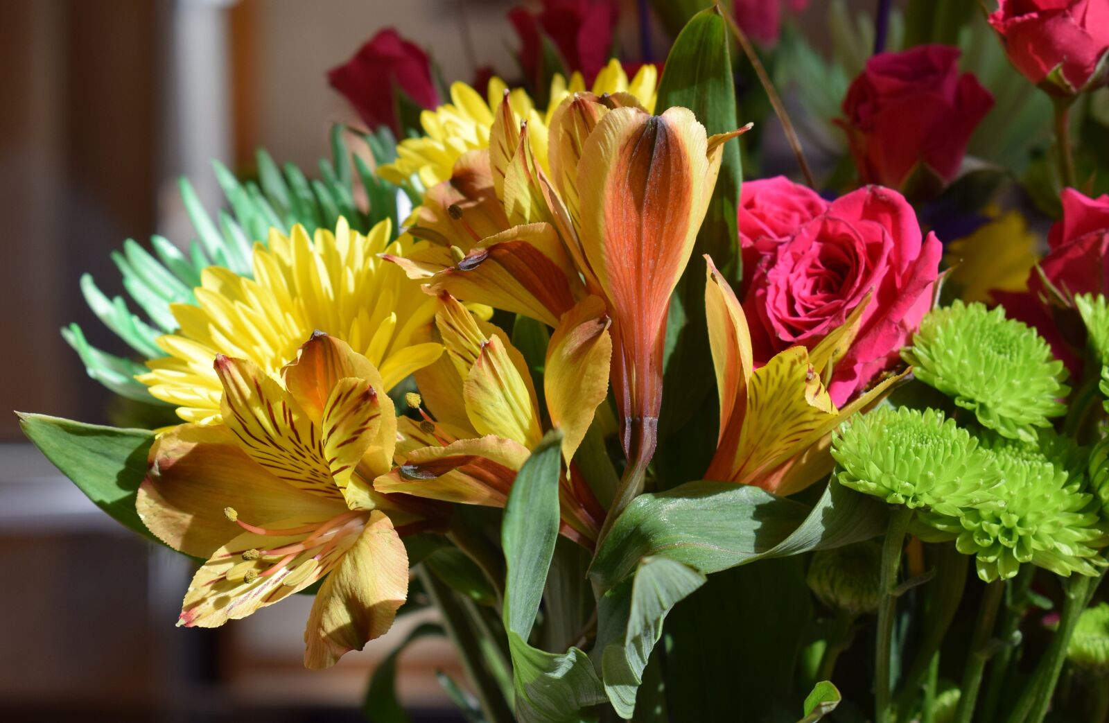 Nikon D3300 sample photo. Alstroemeria, peruvian lily, chrysanthemum photography
