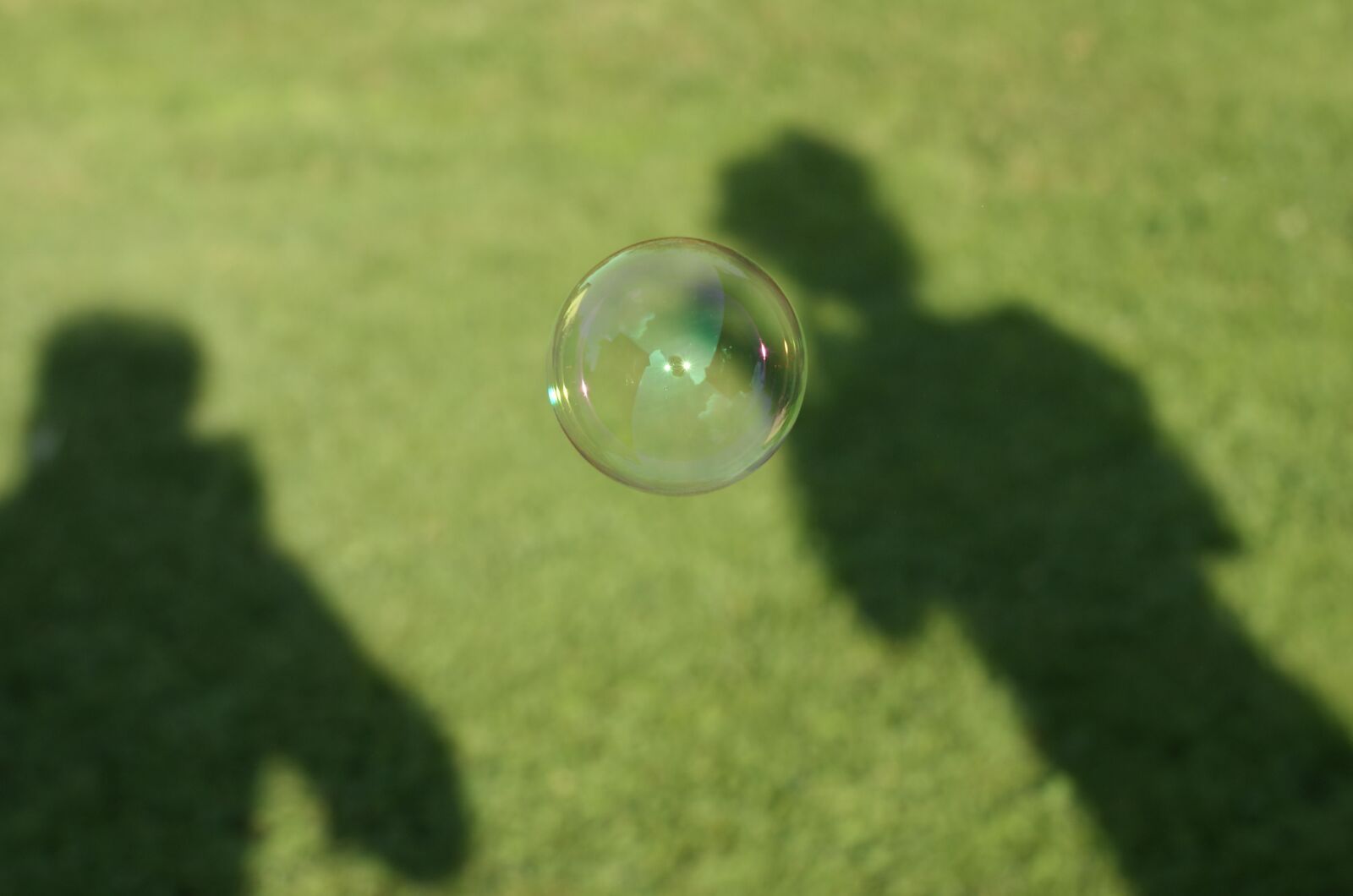 Sony Alpha DSLR-A290 sample photo. Soap bubbles, shadow form photography