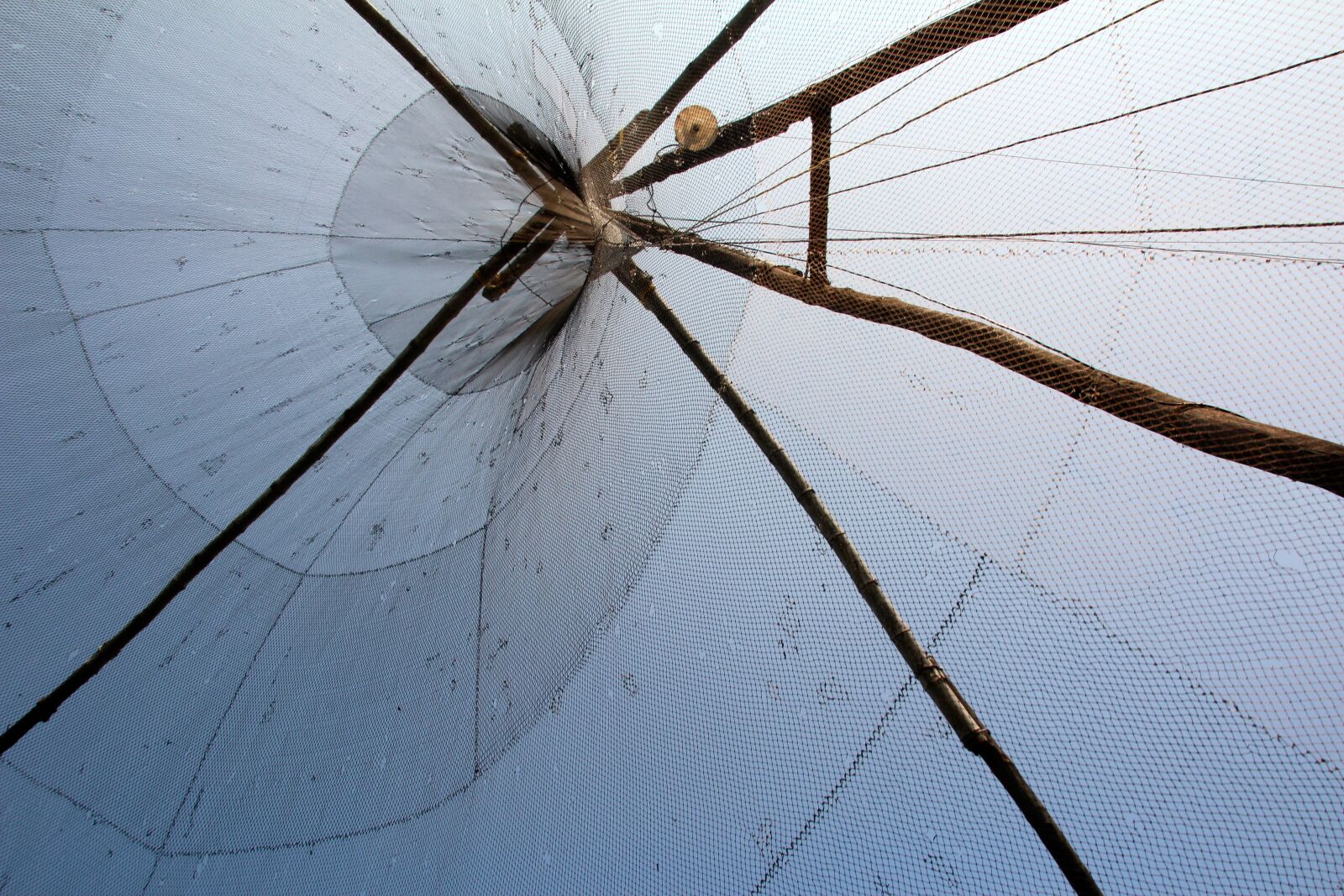 Canon EOS 600D (Rebel EOS T3i / EOS Kiss X5) sample photo. Web, fish, fisherman photography