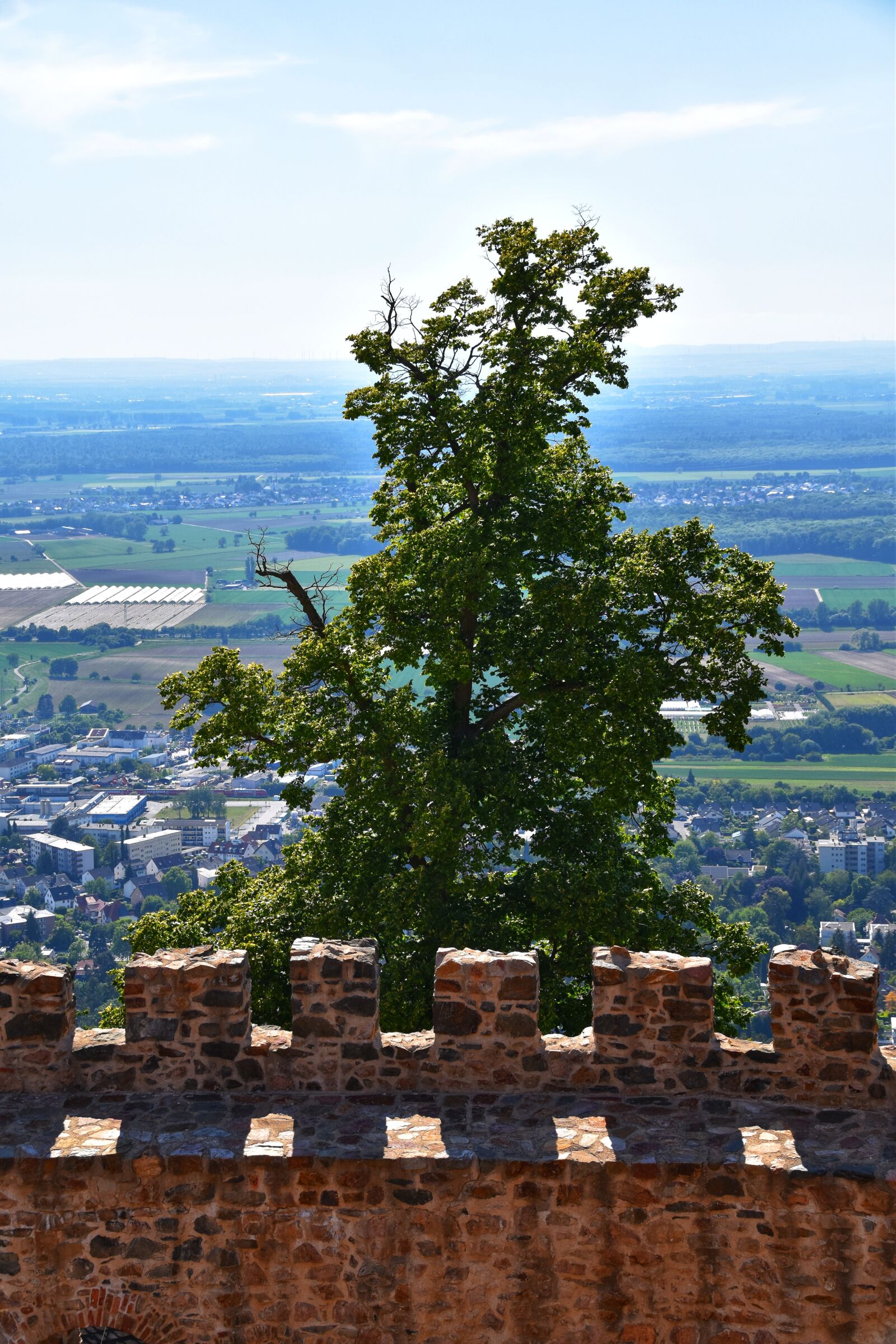 Nikon D5600 sample photo. Auerbacher castle, castle wall photography