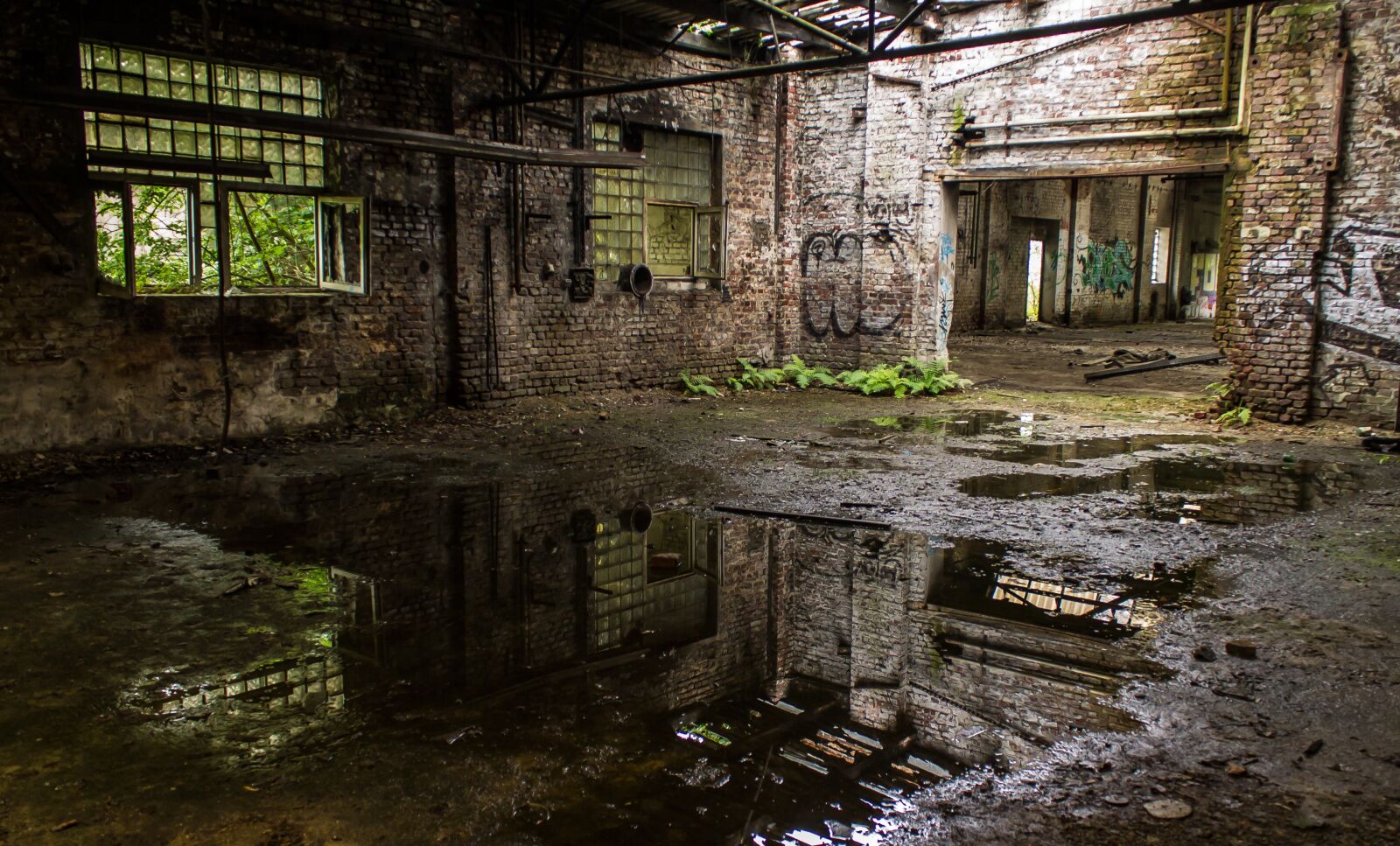 Canon EOS 1100D (EOS Rebel T3 / EOS Kiss X50) sample photo. Abandoned, factory hall, lost photography