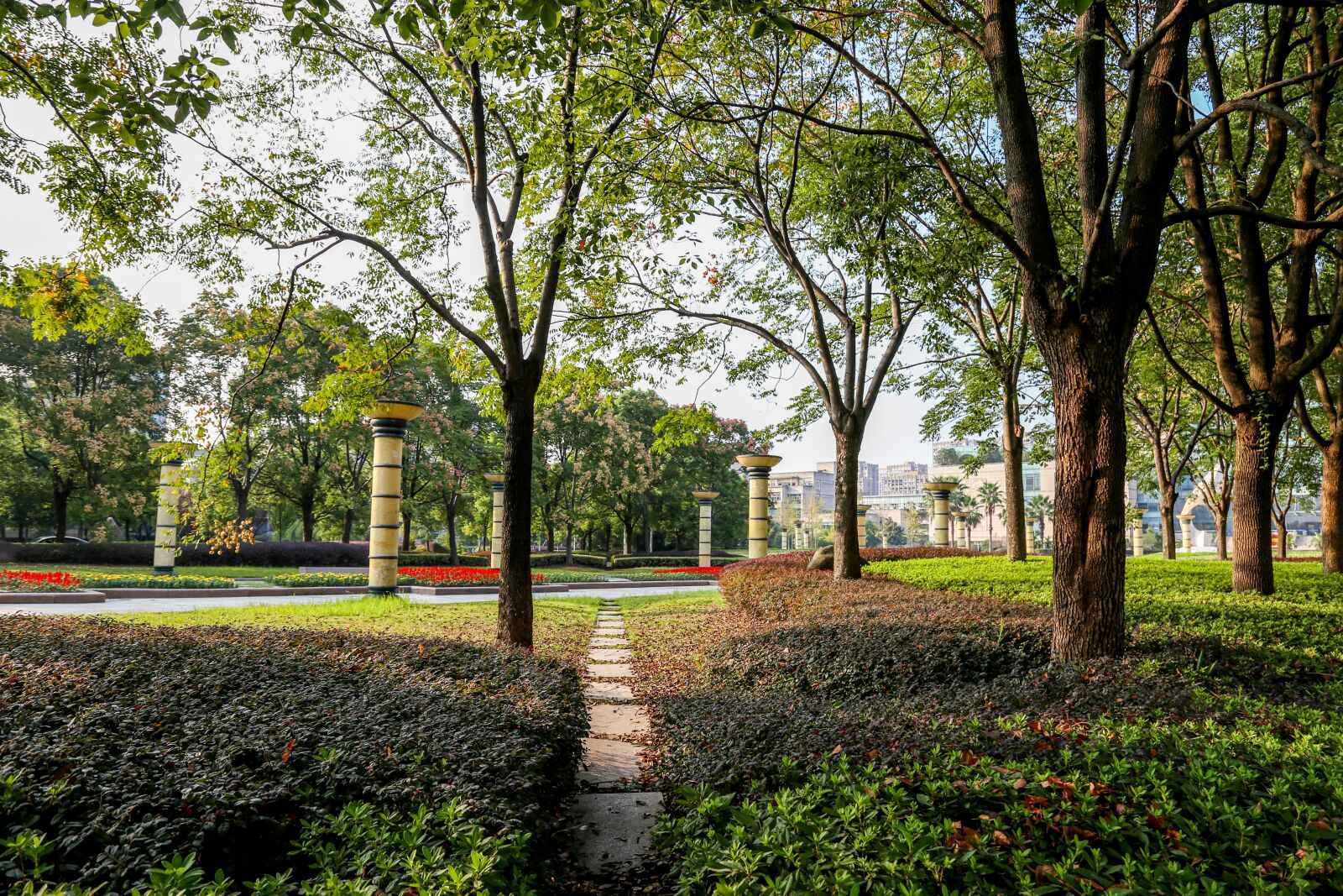 Canon EOS 6D + Canon EF 24-105mm F4L IS USM sample photo. Path, green, zhejiang university photography