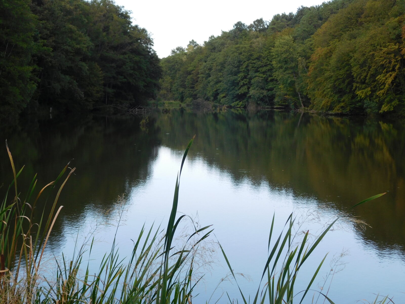 Nikon Coolpix L840 sample photo. Blue, clouds, green, lake photography