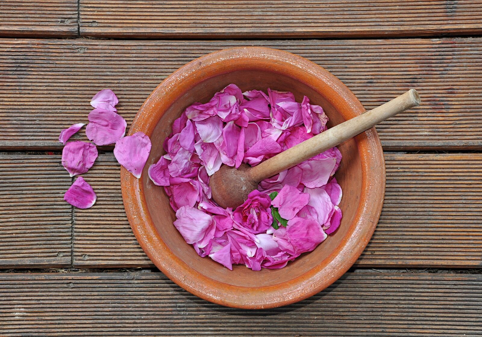Nikon D90 sample photo. Rose, the petals, jam photography