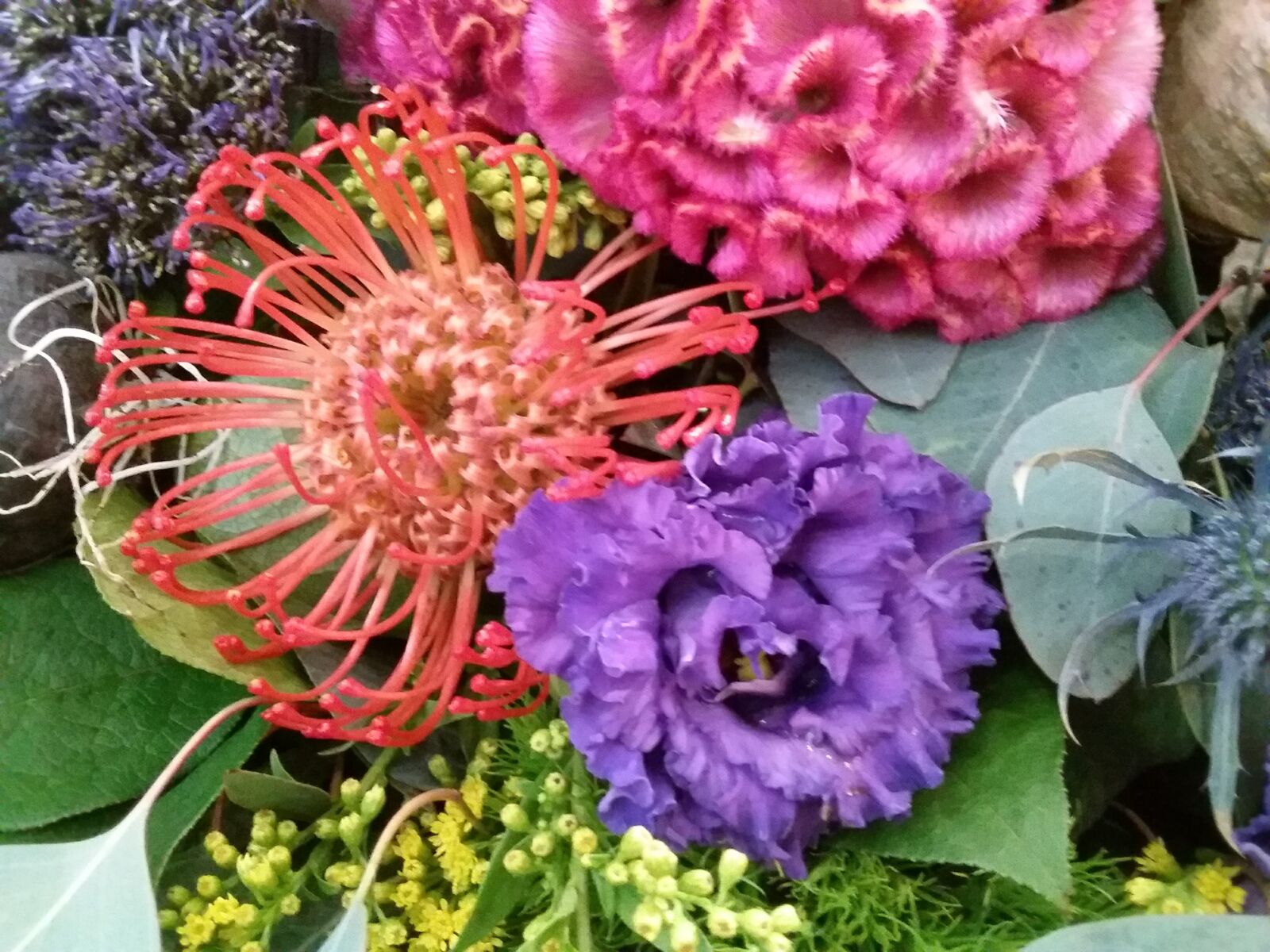 Samsung Galaxy J3(2016) sample photo
