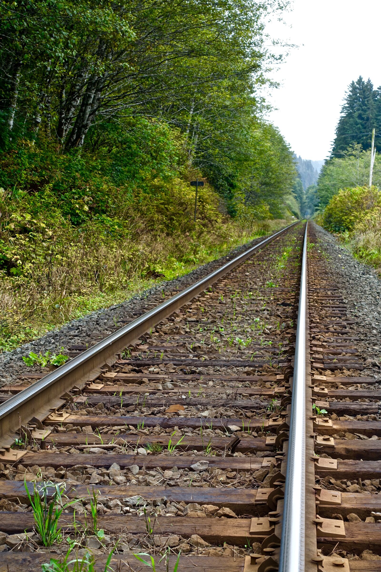 Sony Cyber-shot DSC-RX100 III sample photo. Railway, perspective, distant photography