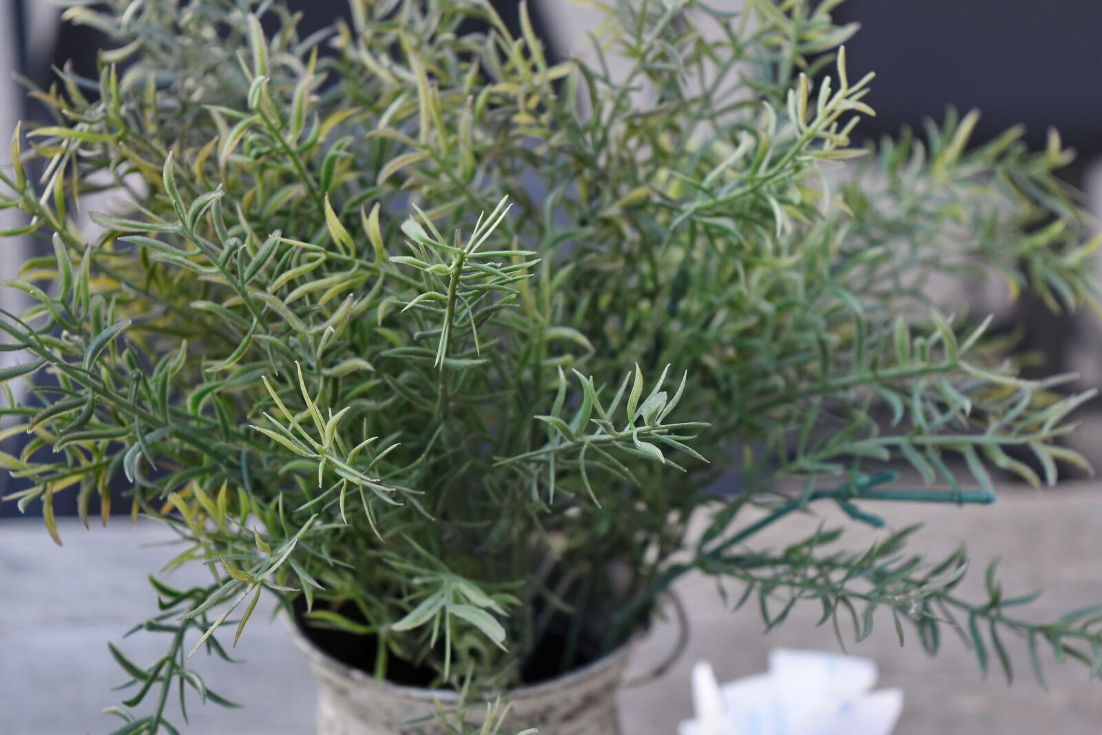 Nikon D5500 sample photo. Restaurant, spice, herb, aromatic photography