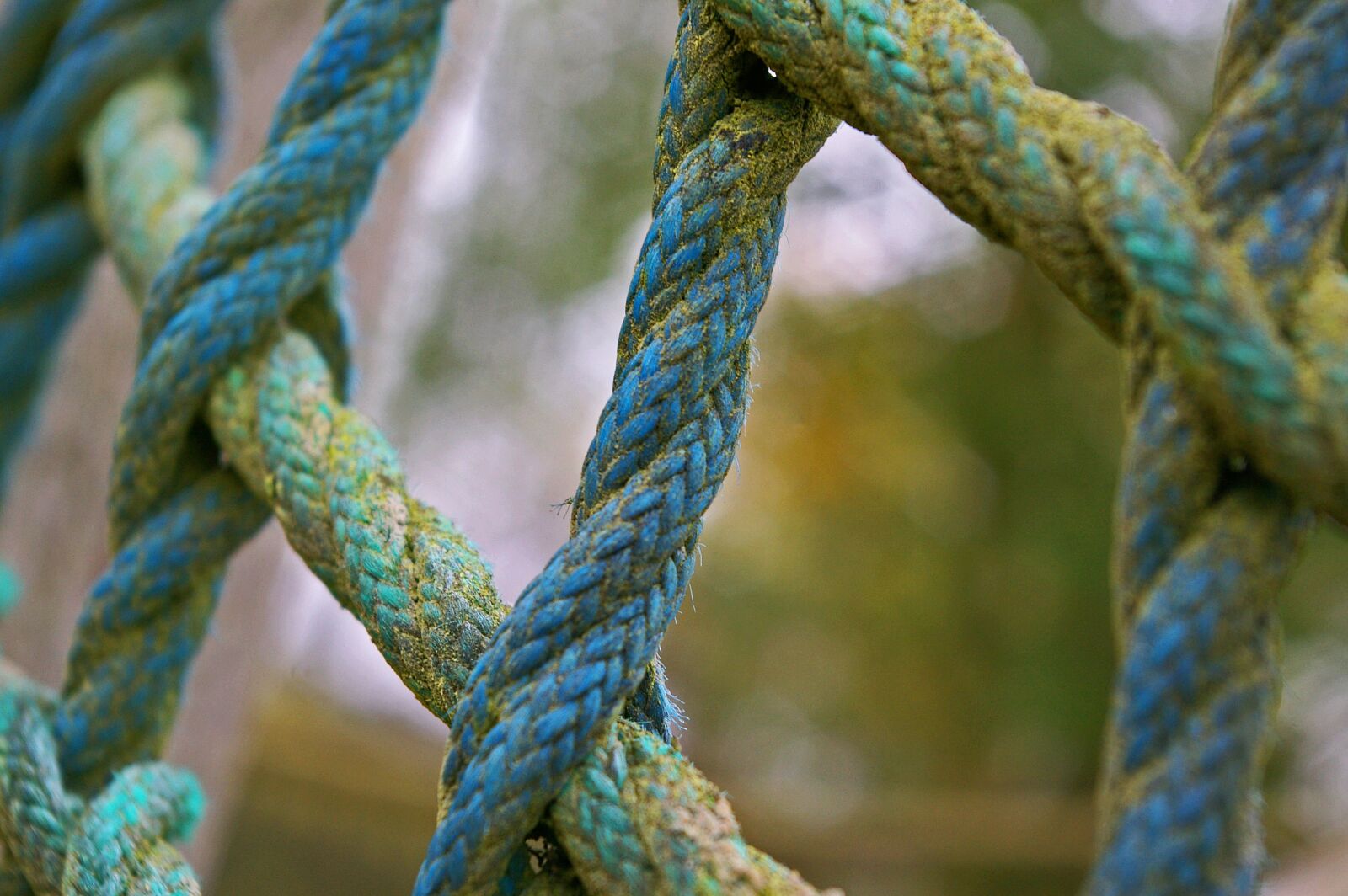 Pentax *ist DL2 sample photo. Klettergerüst, climb, playground photography