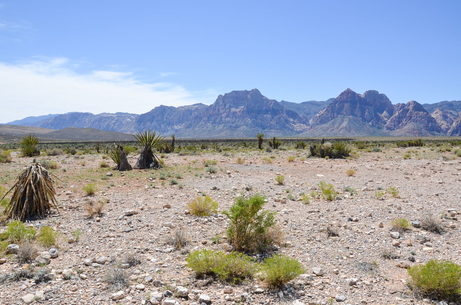 Nikon D5100 sample photo. Nevada, red rock canyon photography