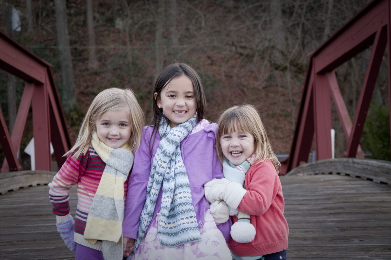 Nikon D90 sample photo. Sisters, bridge, winter photography
