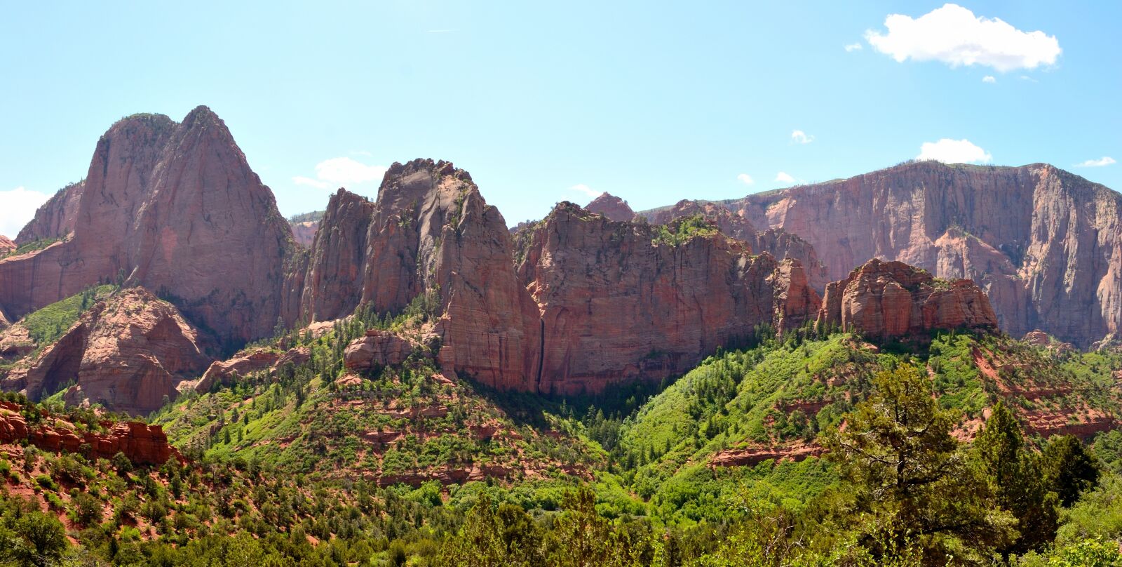 Nikon D3100 sample photo. Zion, national, park photography