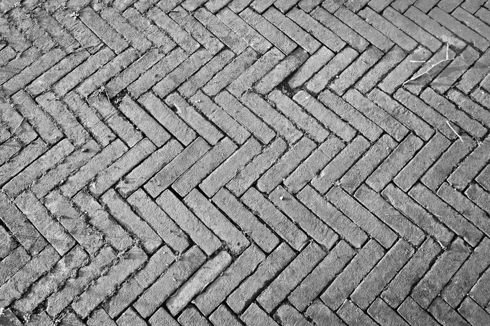 Sony Cyber-shot DSC-RX100 sample photo. Paving, brick paving, street photography