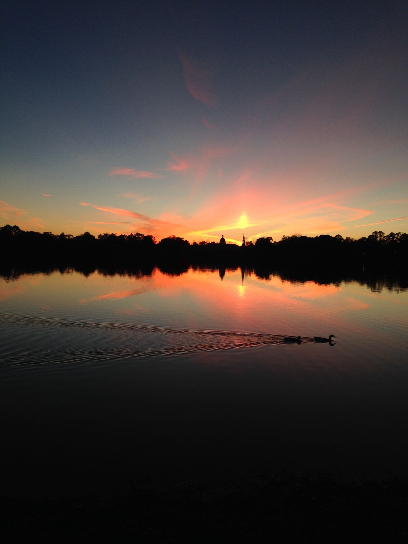 iPhone 5c back camera 4.12mm f/2.4 sample photo. Lake, sunset, florida photography
