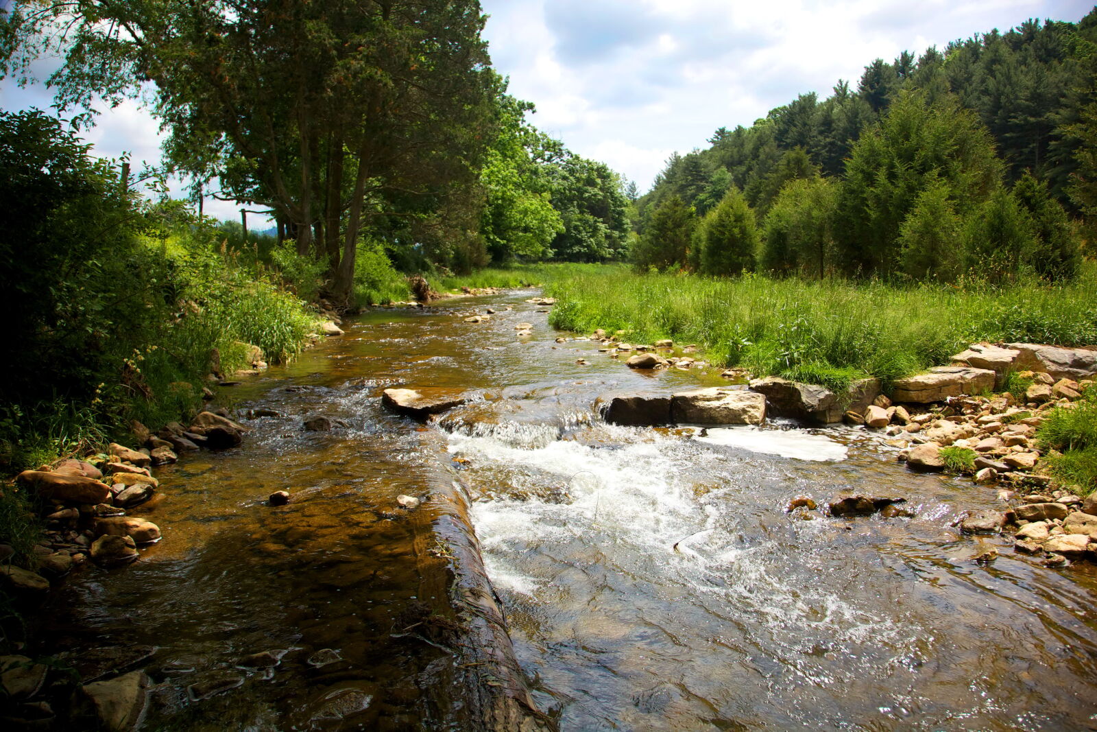 Canon EOS 5D Mark II sample photo. Stream photography