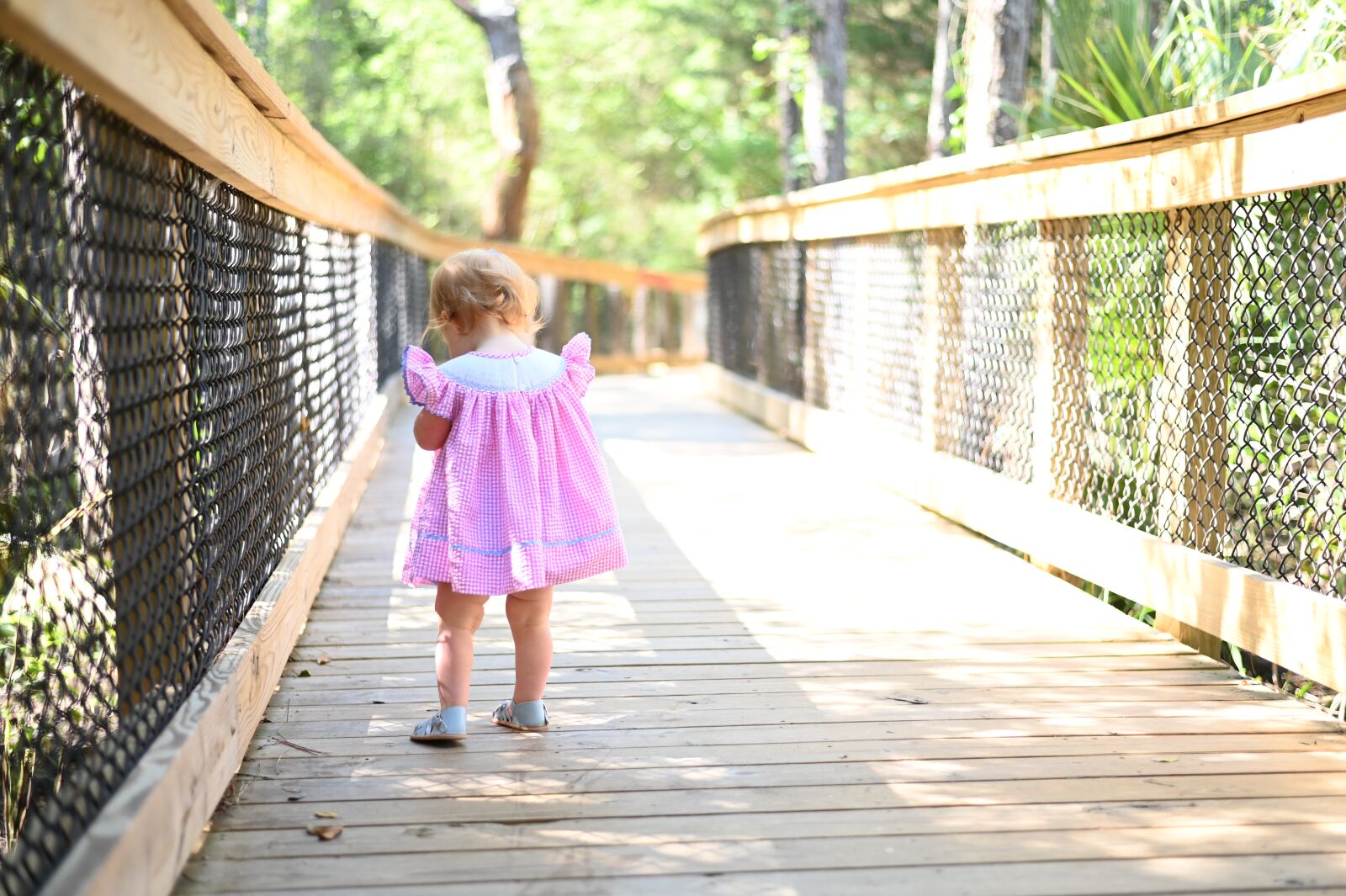 Nikon Z6 sample photo. Bridge, nature, path photography