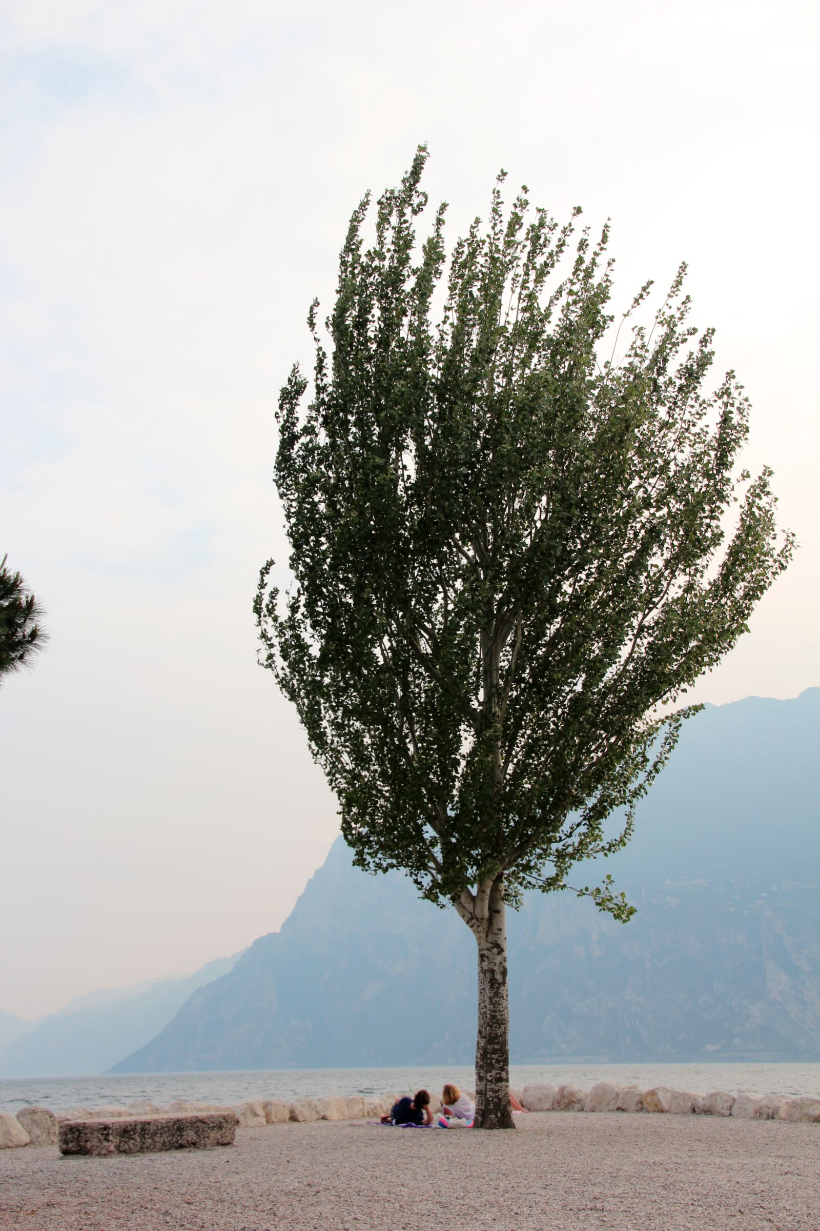 Canon EOS 600D (Rebel EOS T3i / EOS Kiss X5) sample photo. Garda, italy, lake photography