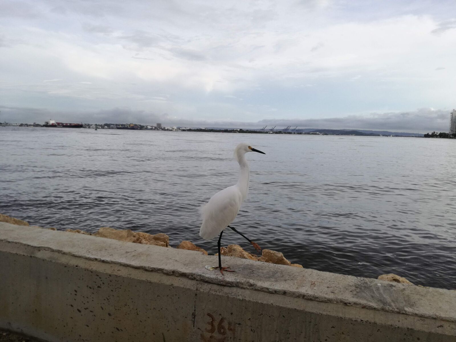 HUAWEI P9 LITE sample photo. Cartagena, city, colombia photography
