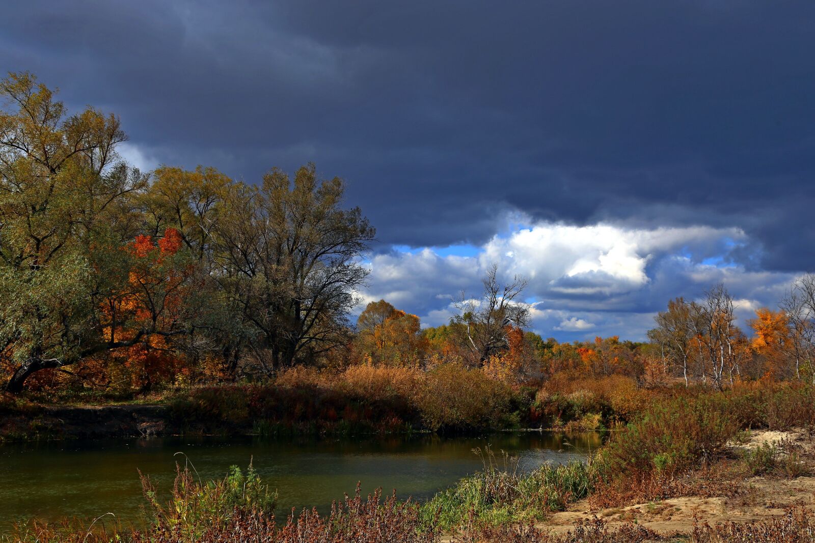 Canon EOS 6D sample photo. Nature, tree, landscape photography