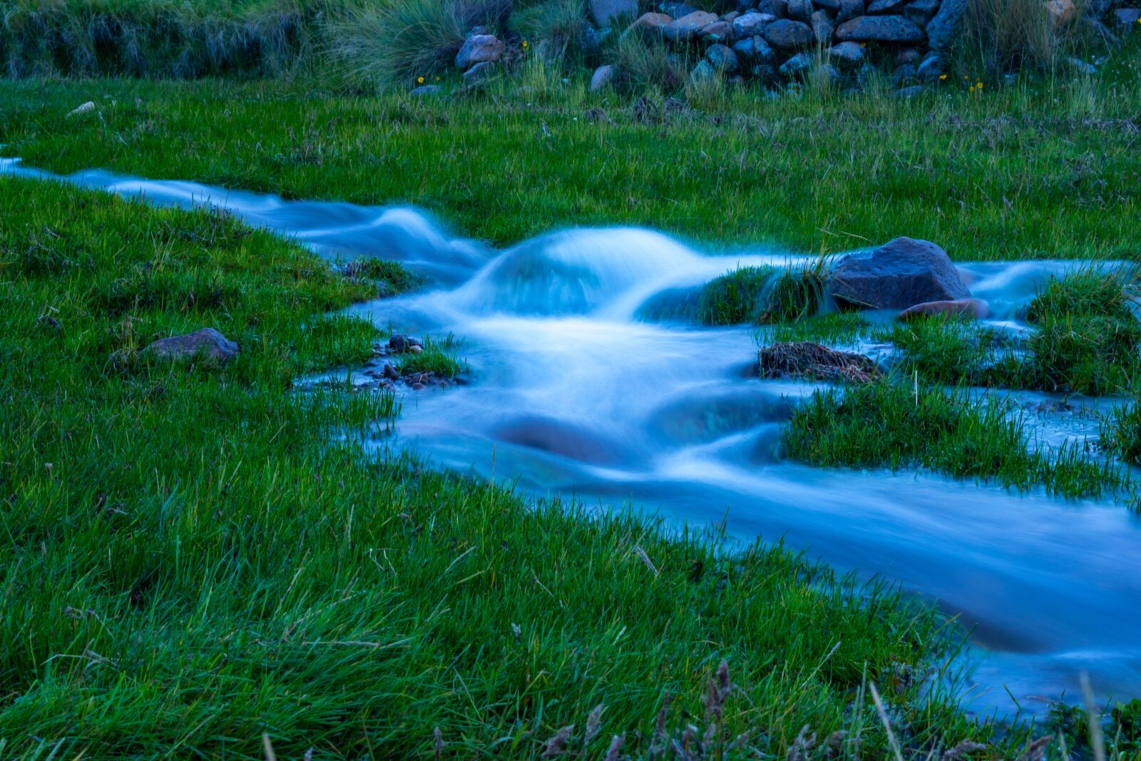 Nikon D3500 sample photo. River, green, water effect photography