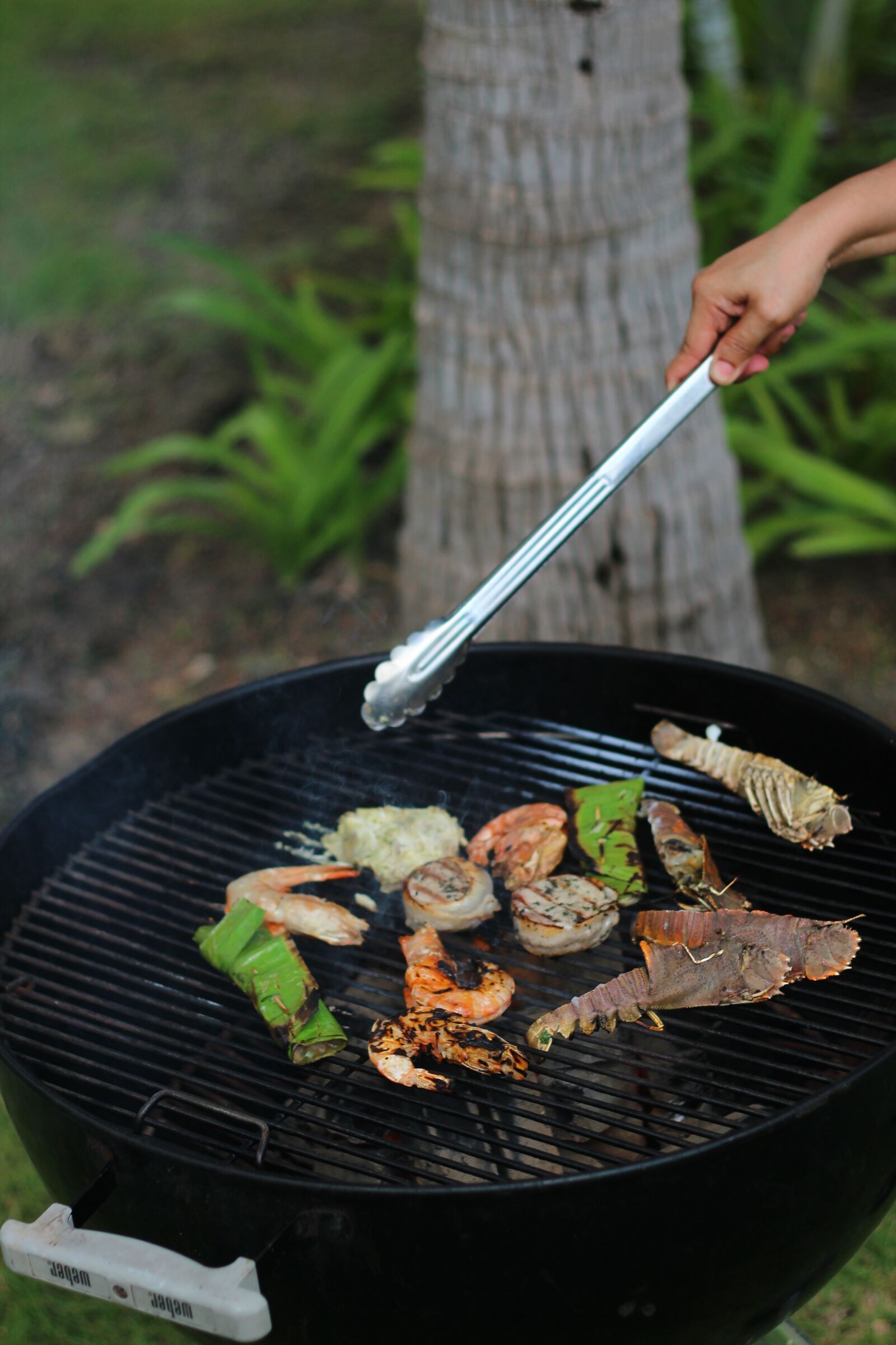Canon EOS 600D (Rebel EOS T3i / EOS Kiss X5) + Canon EF 50mm F1.8 II sample photo. Toast, grill, food photography