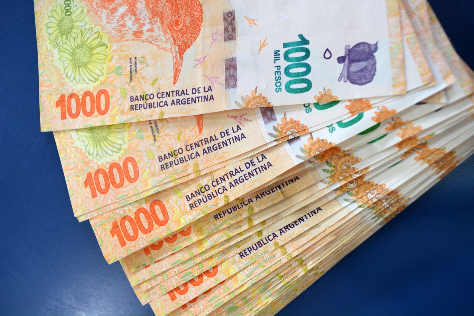 Nikon D5200 sample photo. Money, argentine, silver photography