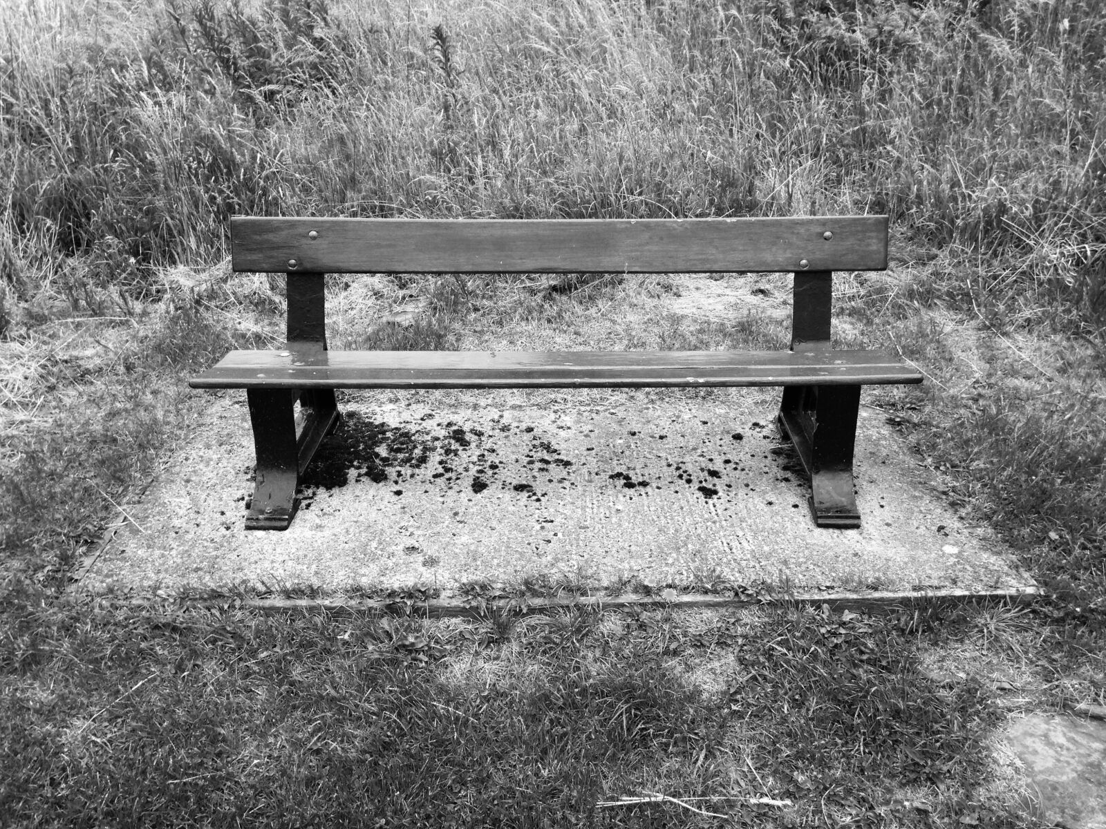 iPhone 5c back camera 4.12mm f/2.4 sample photo. Bench, black, white photography