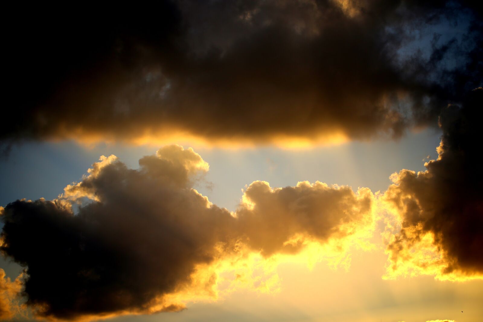 Canon EF 100mm F2.8L Macro IS USM sample photo. Cloud, sun, sunset photography