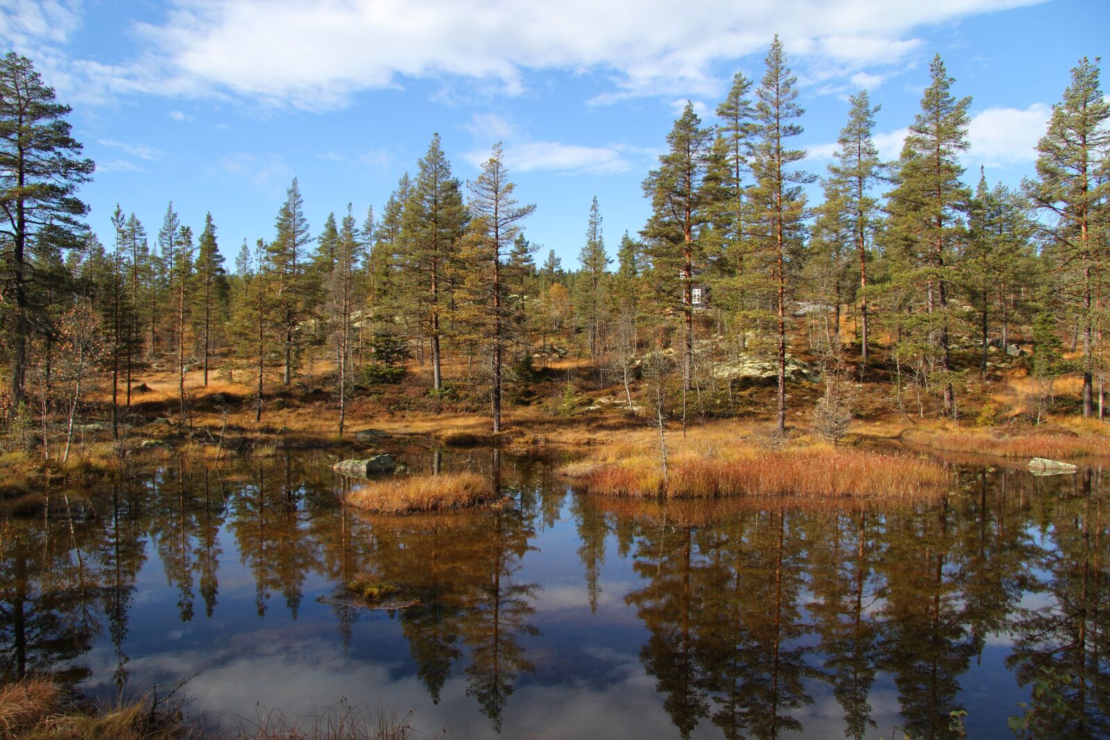 Canon EF-S 17-85mm F4-5.6 IS USM sample photo. Autumn, telemark norway, tindefjell photography