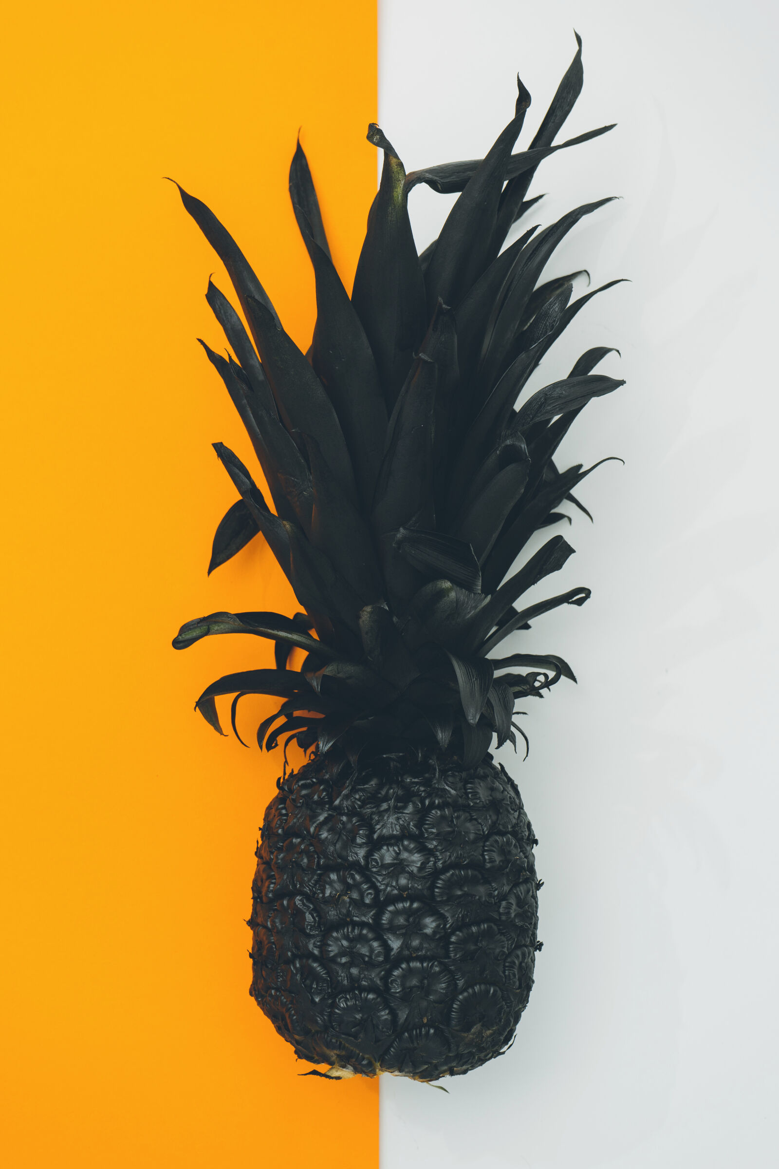 Sony a7 II + Sony FE 28-70mm F3.5-5.6 OSS sample photo. Art, black, copy, space photography
