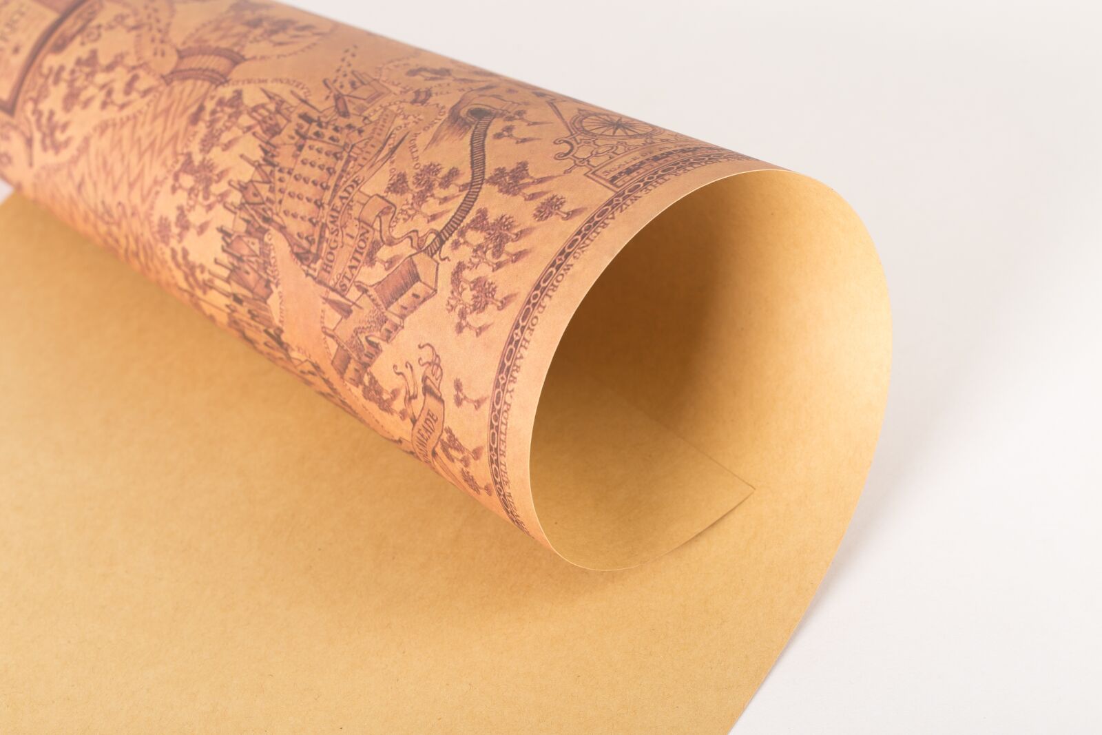 Canon EF 100mm F2.8L Macro IS USM sample photo. Kraft, volume, yellow photography