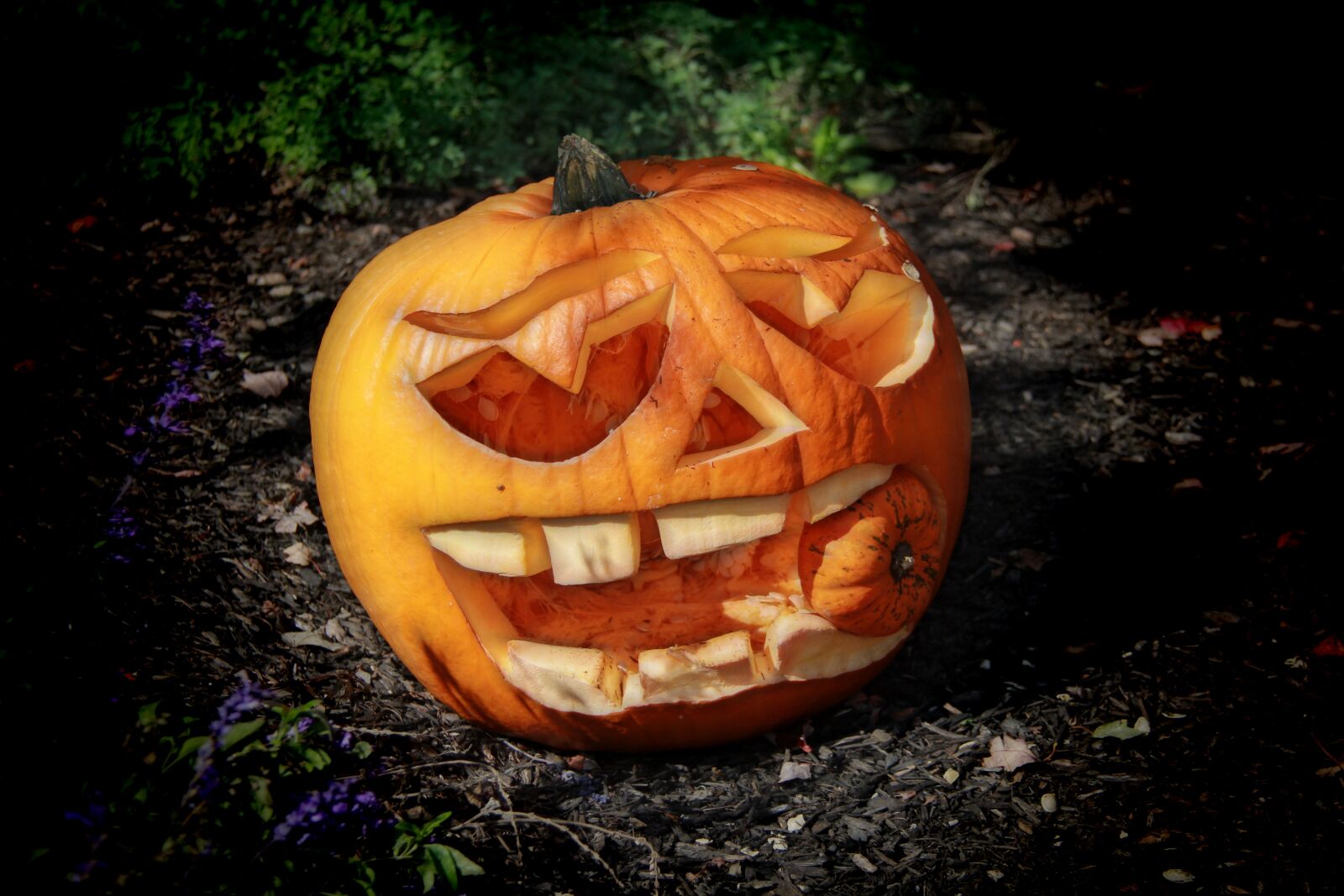 Canon EF-S 18-200mm F3.5-5.6 IS sample photo. Pumpkin, haloween, october photography