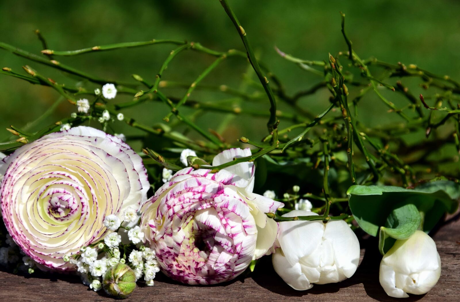 Nikon D3300 sample photo. Nature, flower, leaf, nature photography