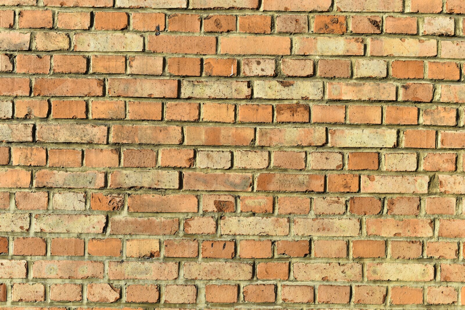 Nikon D810 sample photo. Wall, brick, background photography