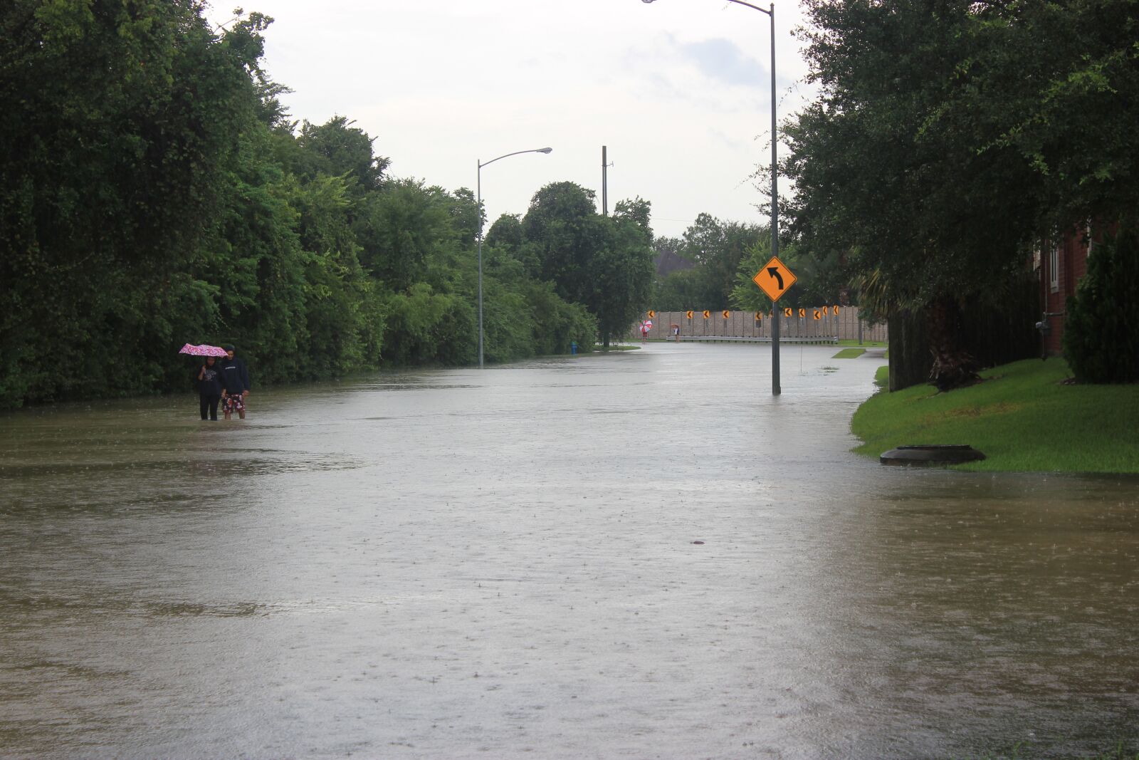 Canon EOS 550D (EOS Rebel T2i / EOS Kiss X4) sample photo. Hurricane harvey, flood, couple photography