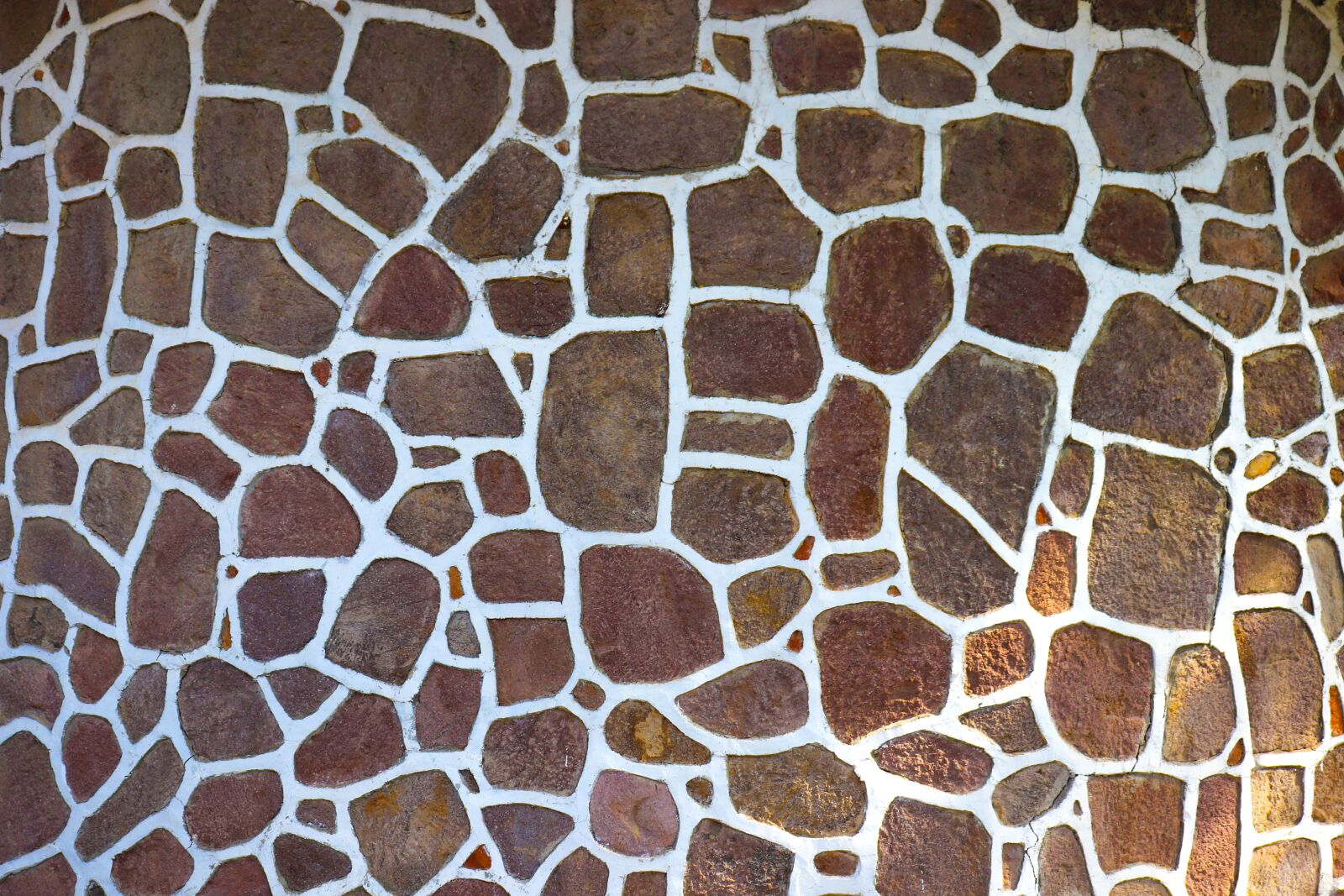 Canon EOS 200D (EOS Rebel SL2 / EOS Kiss X9) sample photo. Texture, giraffe, jiraffe photography