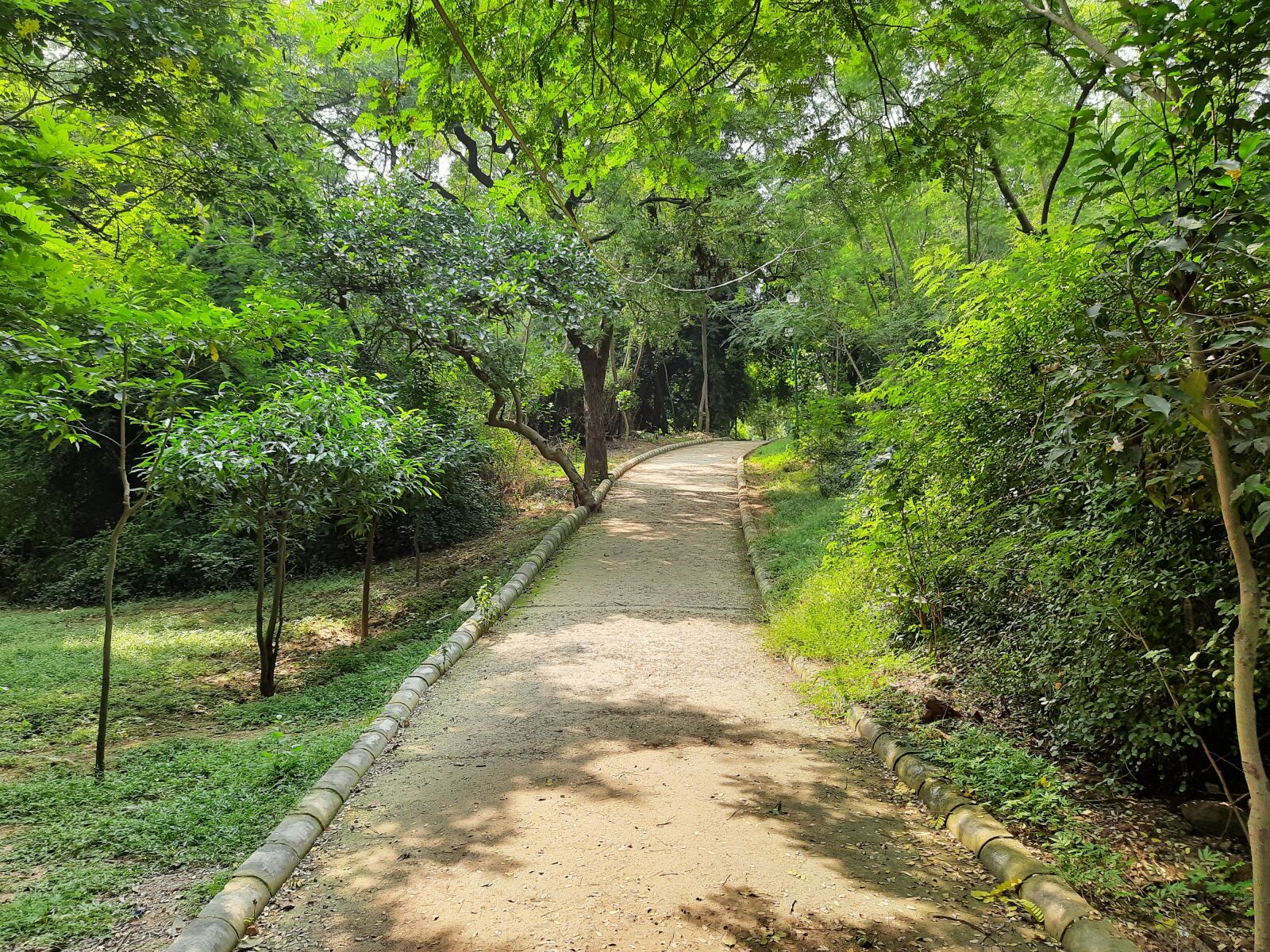 Samsung SM-M215F sample photo. Path, forest, nature photography