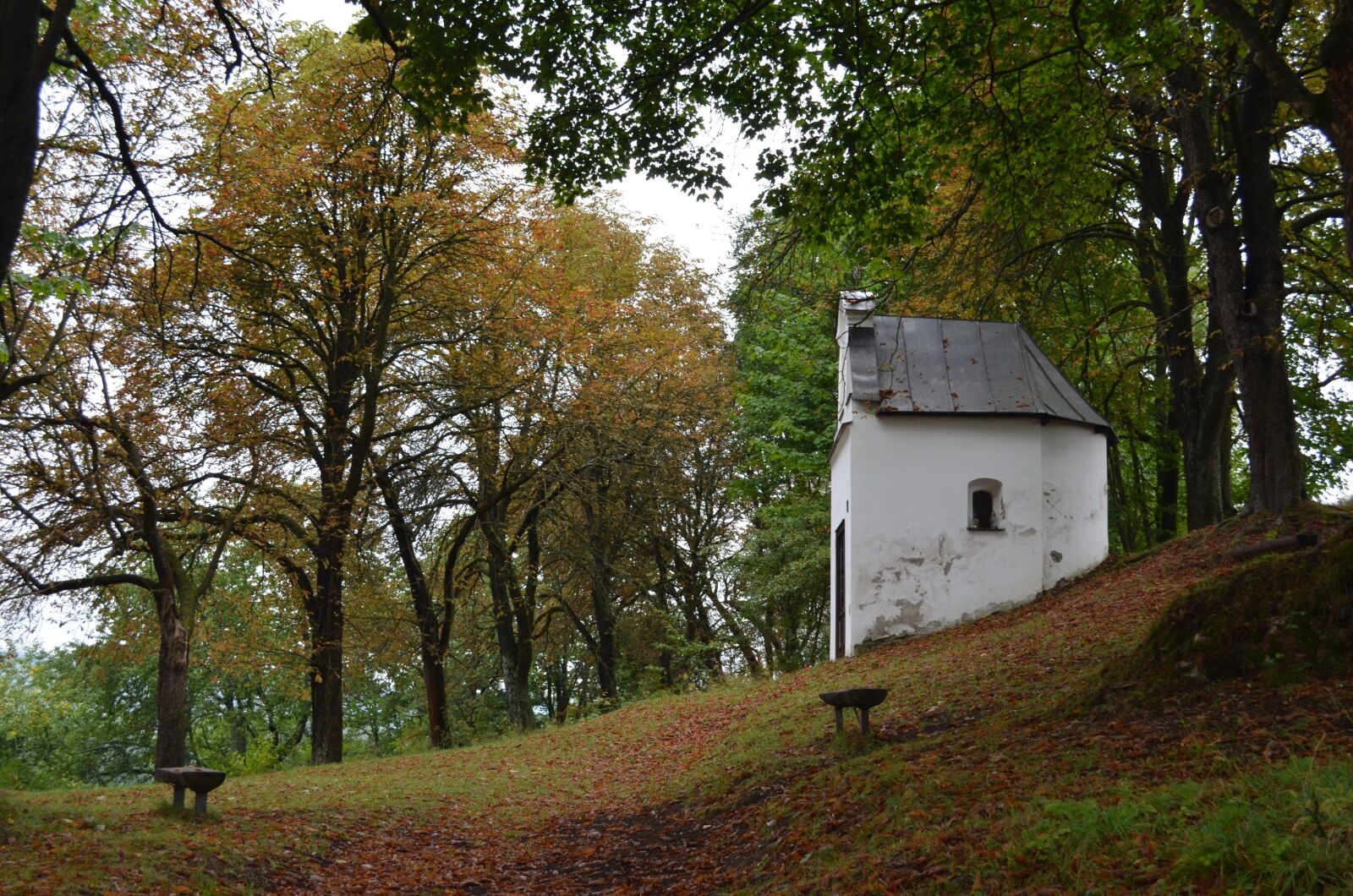 Nikon D5100 sample photo. Autumn, chapel, forest photography