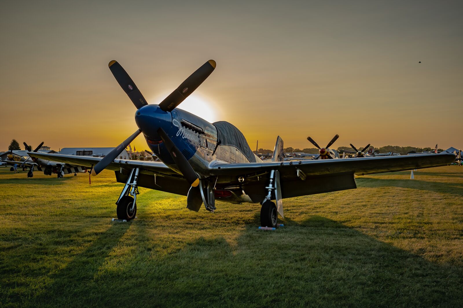 Tamron SP 24-70mm F2.8 Di VC USD sample photo. Aircraft, airplane, mustang photography
