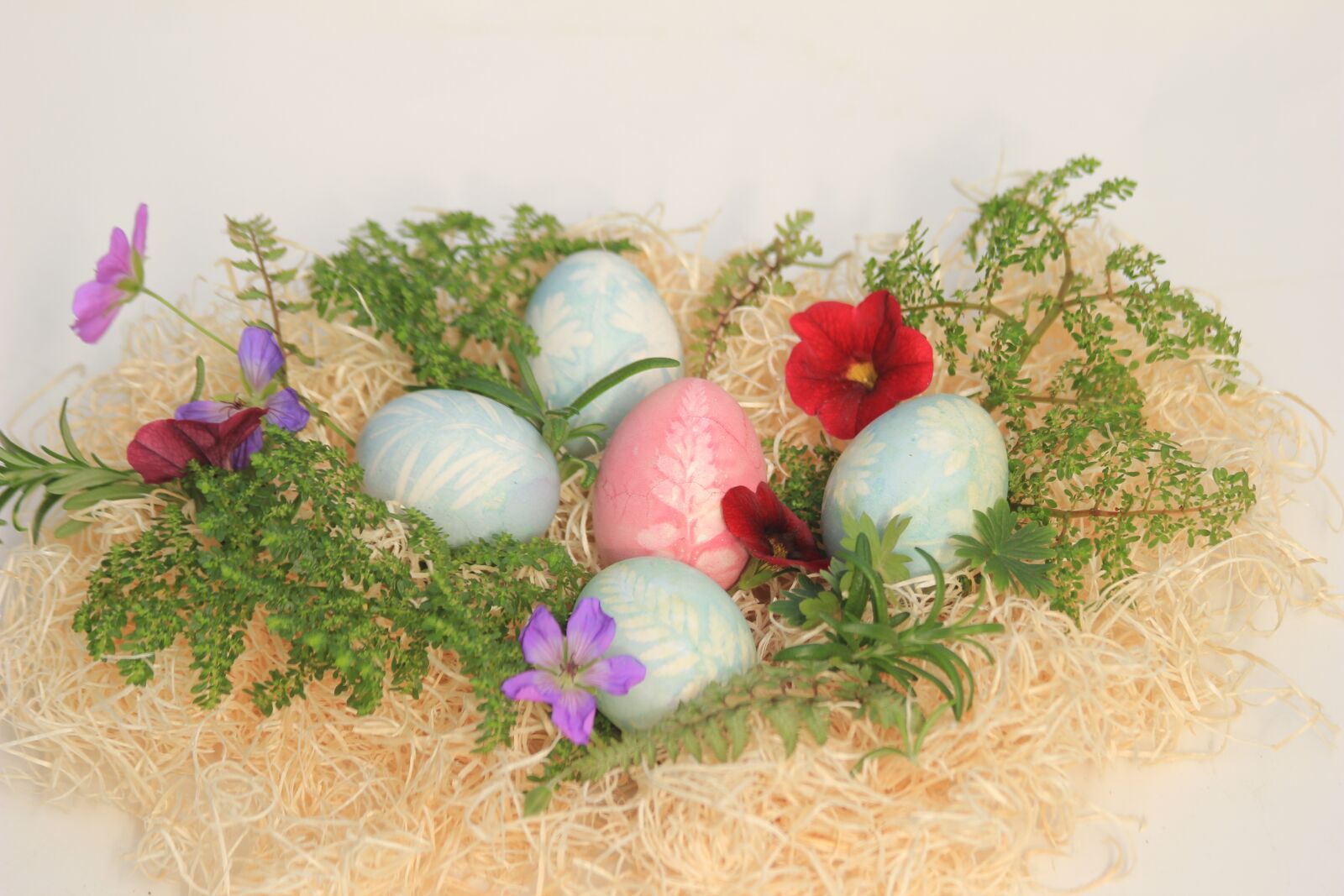 Canon EOS 550D (EOS Rebel T2i / EOS Kiss X4) sample photo. Easter, eggs, holiday photography