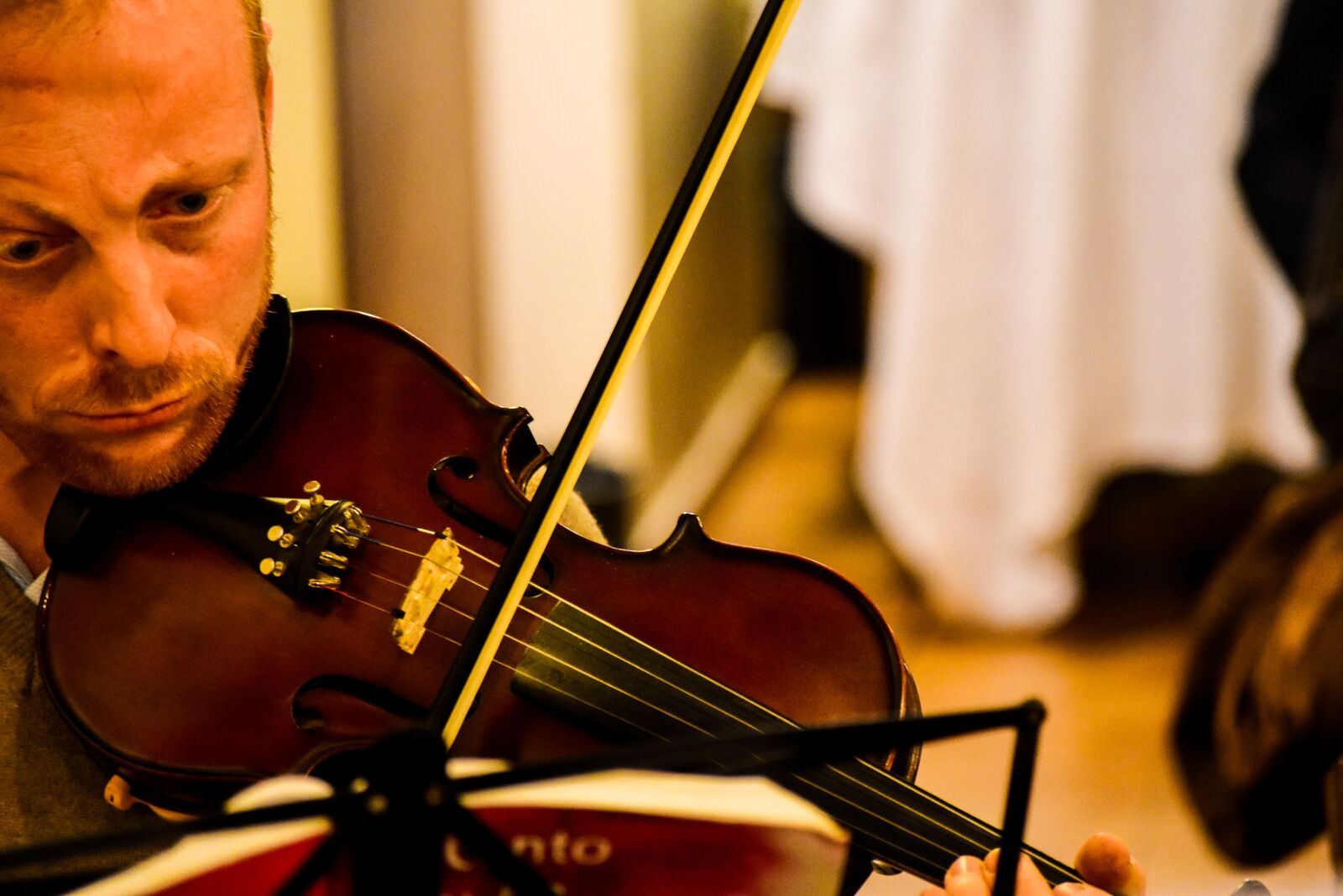 Nikon D7200 sample photo. Violin, protestantism, cult photography