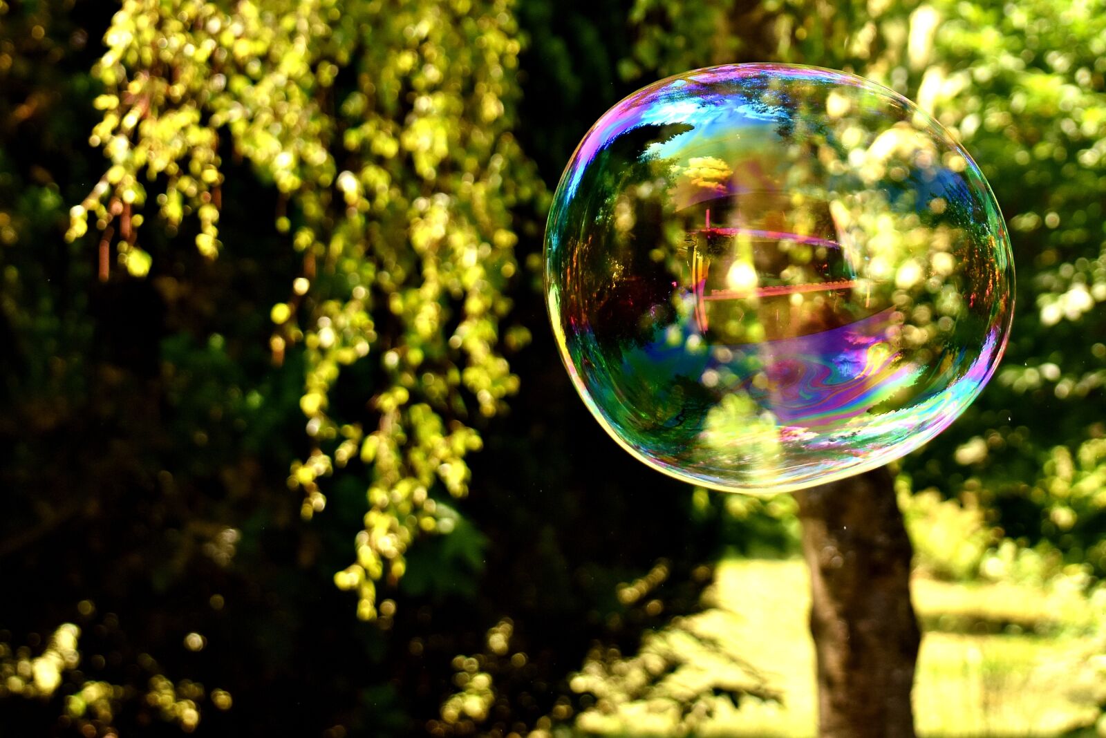 Nikon D7200 sample photo. Soap bubble, huge, large photography