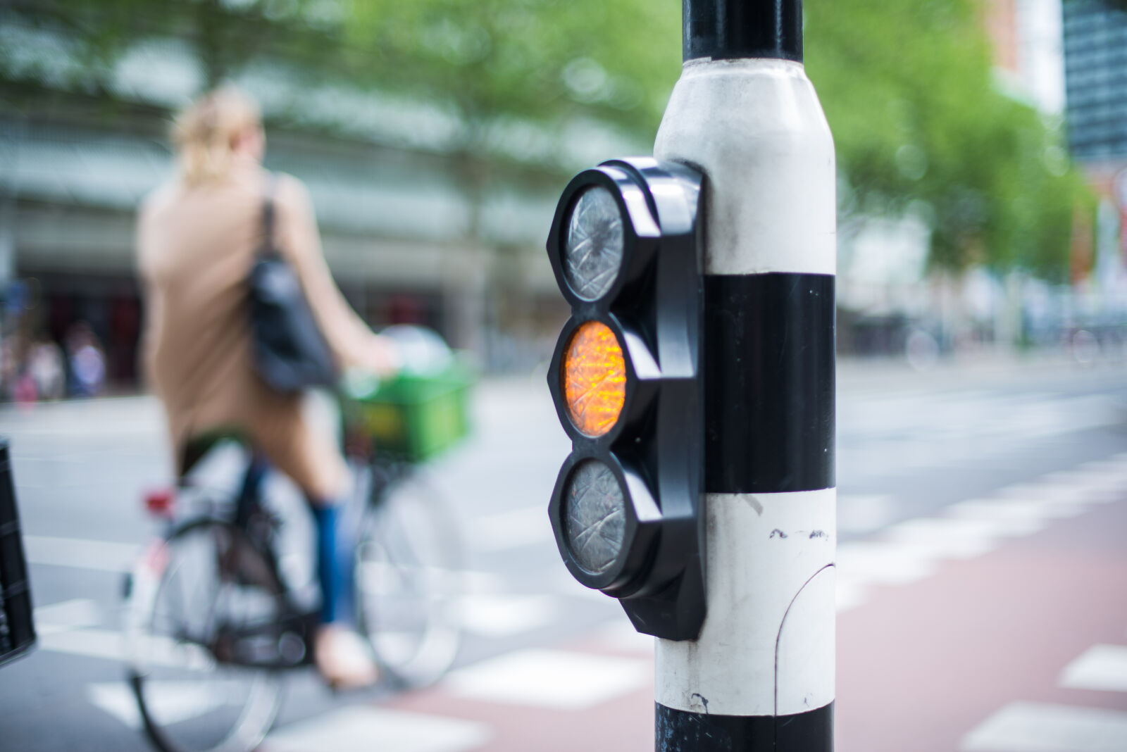 Nikon D600 + Nikon AF-S Nikkor 50mm F1.4G sample photo. Bicycle, bike, dutch, green photography