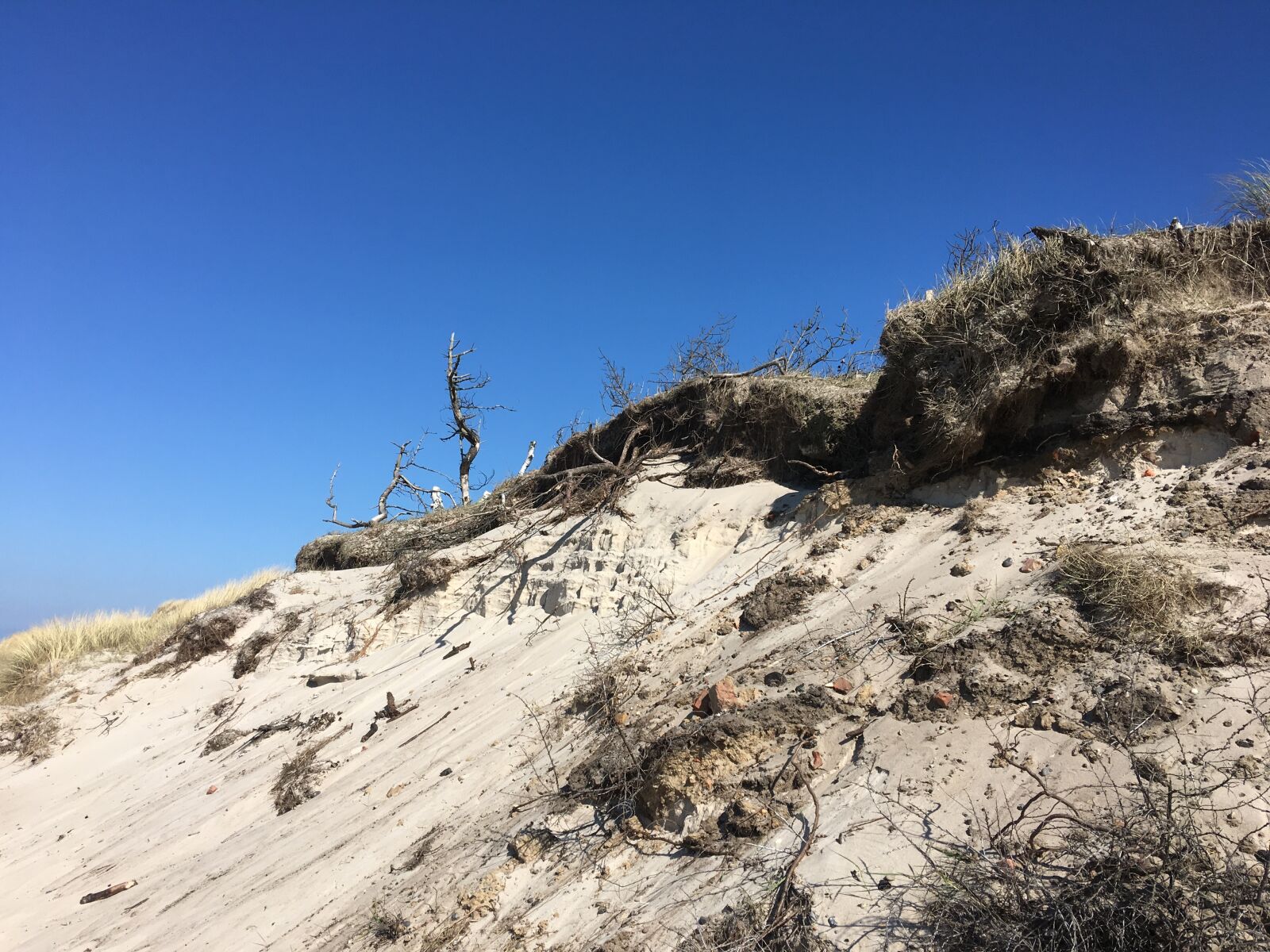 Apple iPhone 6s Plus sample photo. Beach, zingst, darß photography