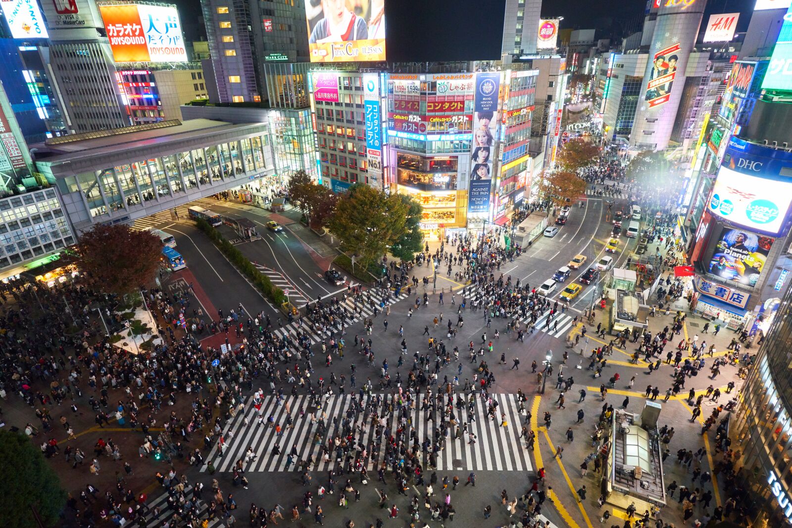 ZEISS Batis 18mm F2.8 sample photo. Road, pedestrian, junction photography