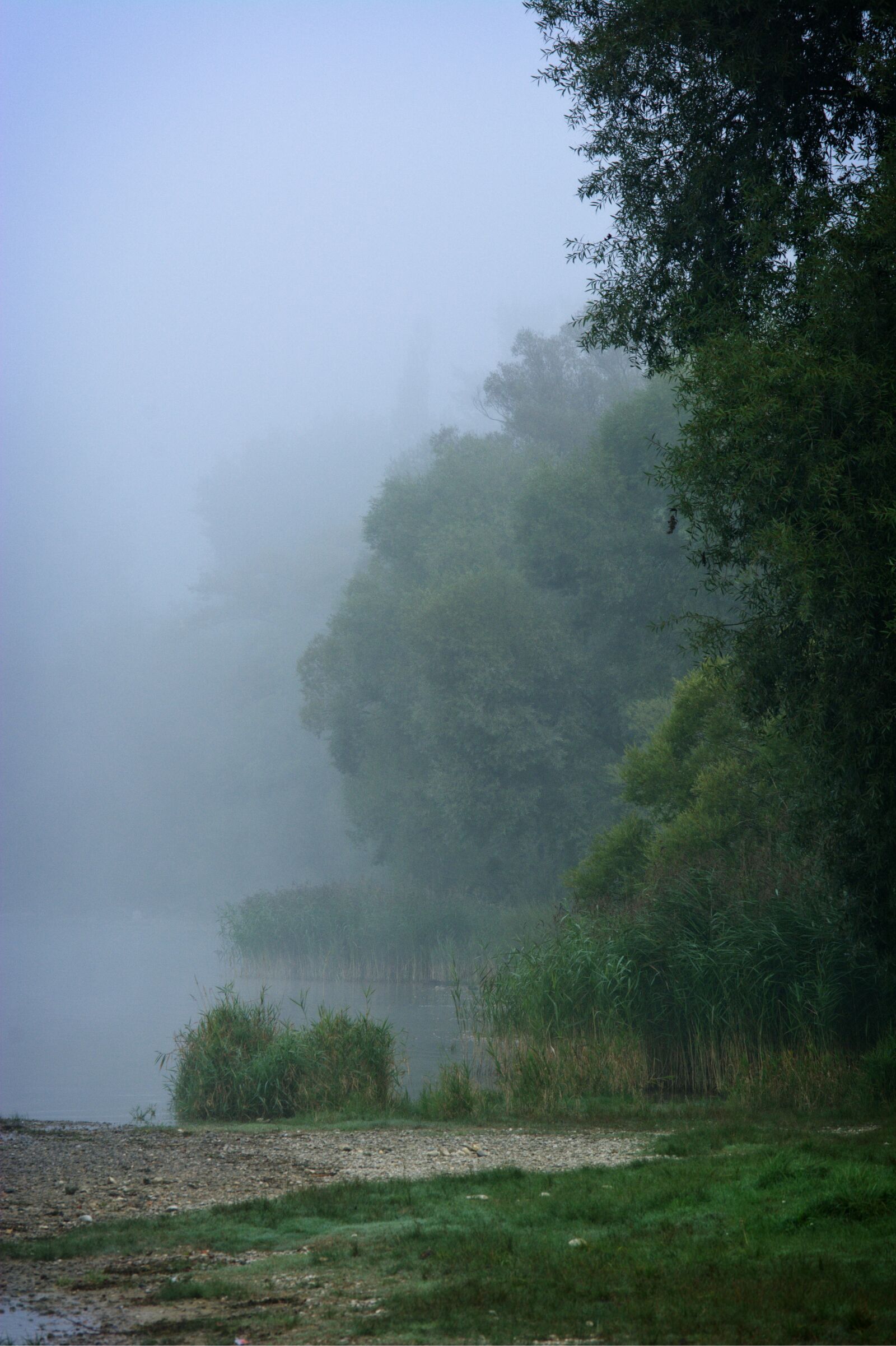 55.0-200.0mm f/4.0-f/5.6 sample photo. Bank, fog, water photography